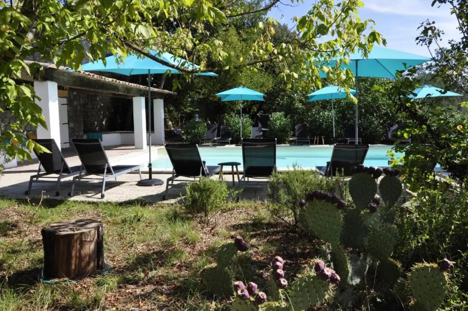 Un Je Ne Sais Quoi De Paradis