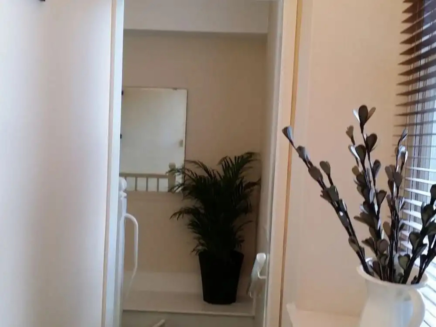 Ty Morgans Apartments