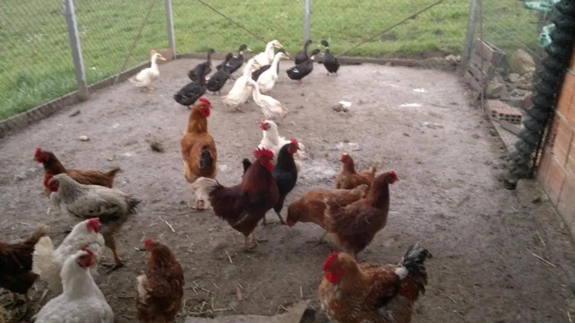 Agriturismo Terra e Sapori