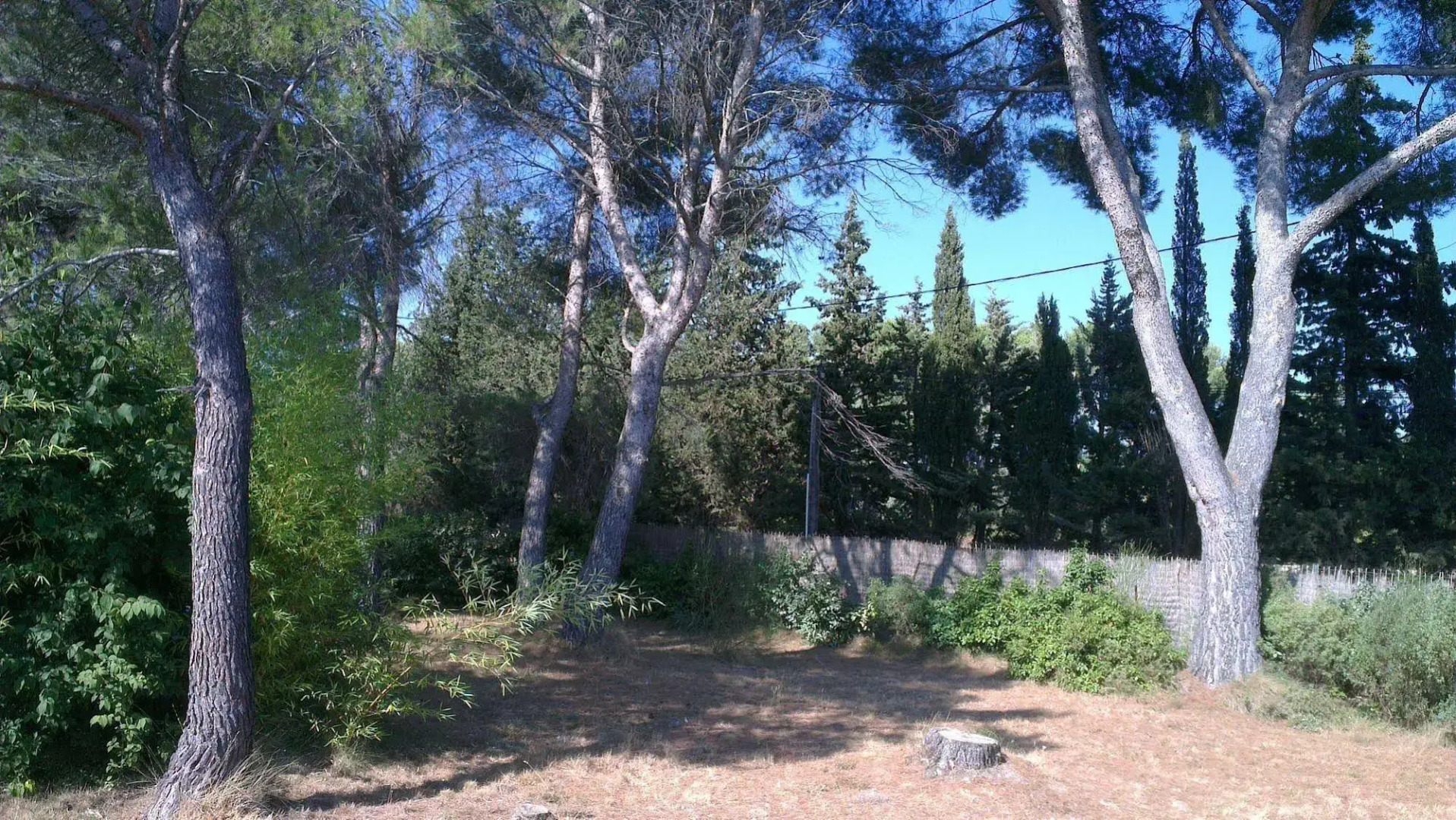 La Petite Maison Sous les Pins