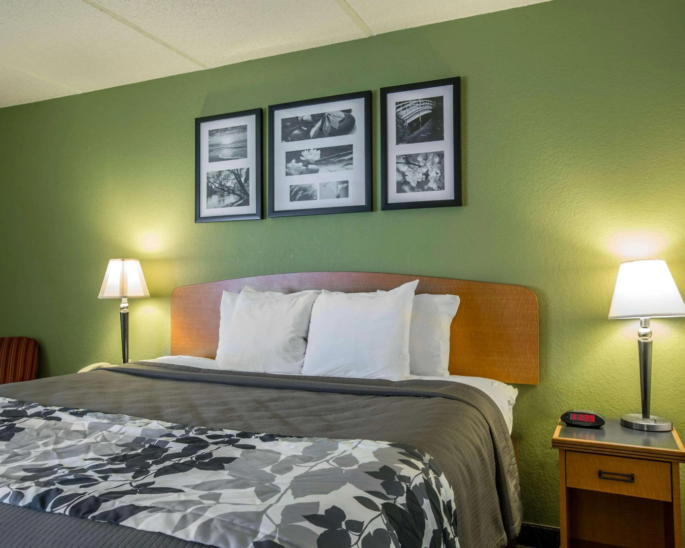 Sleep Inn & Suites near Sports World Blvd