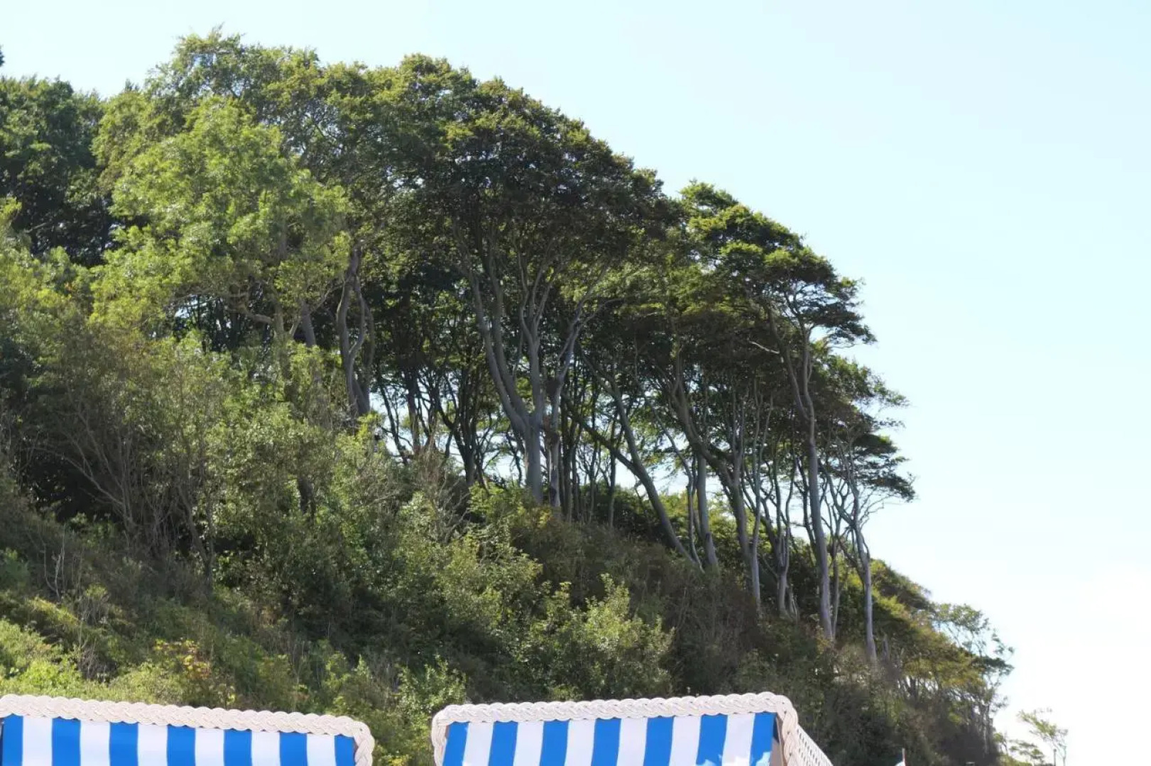 Ferienwohnung am Gespensterwald