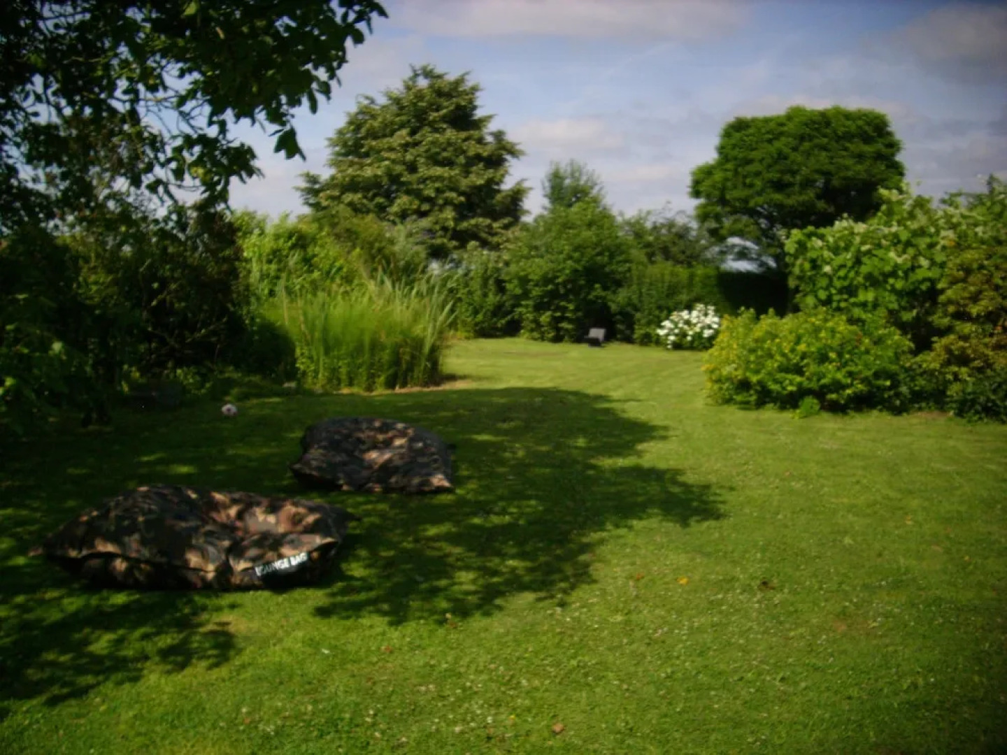 De Reus van Horebeke