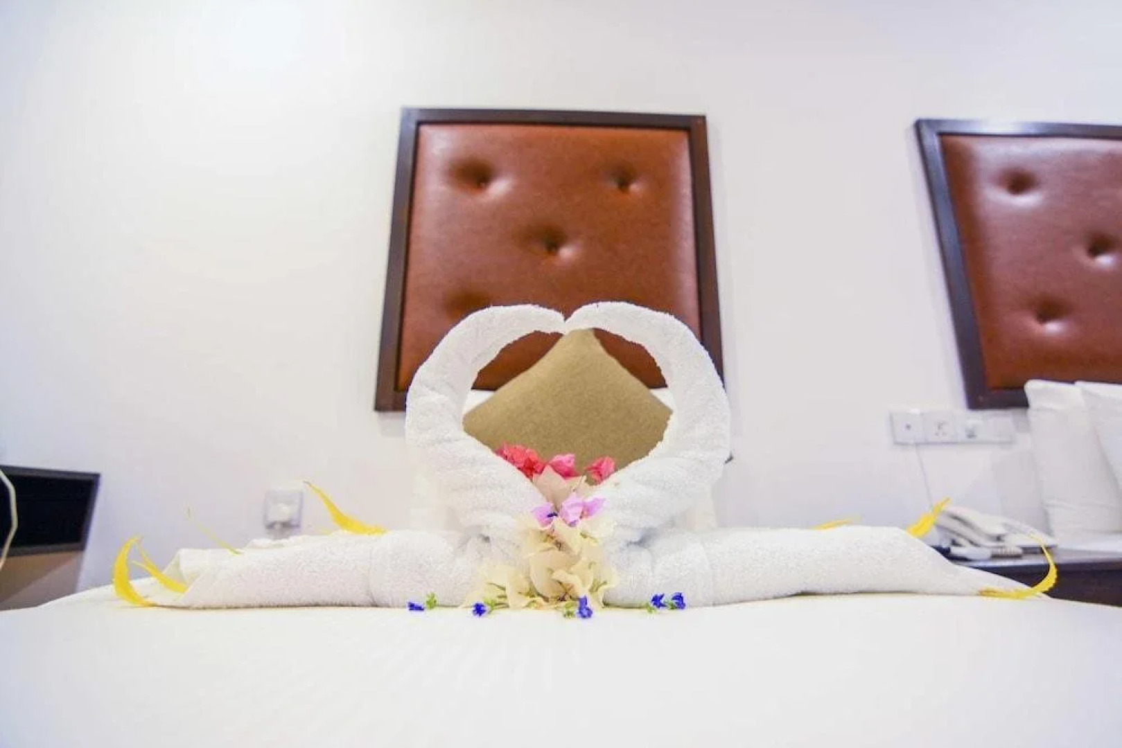 Arana by Forest Trails