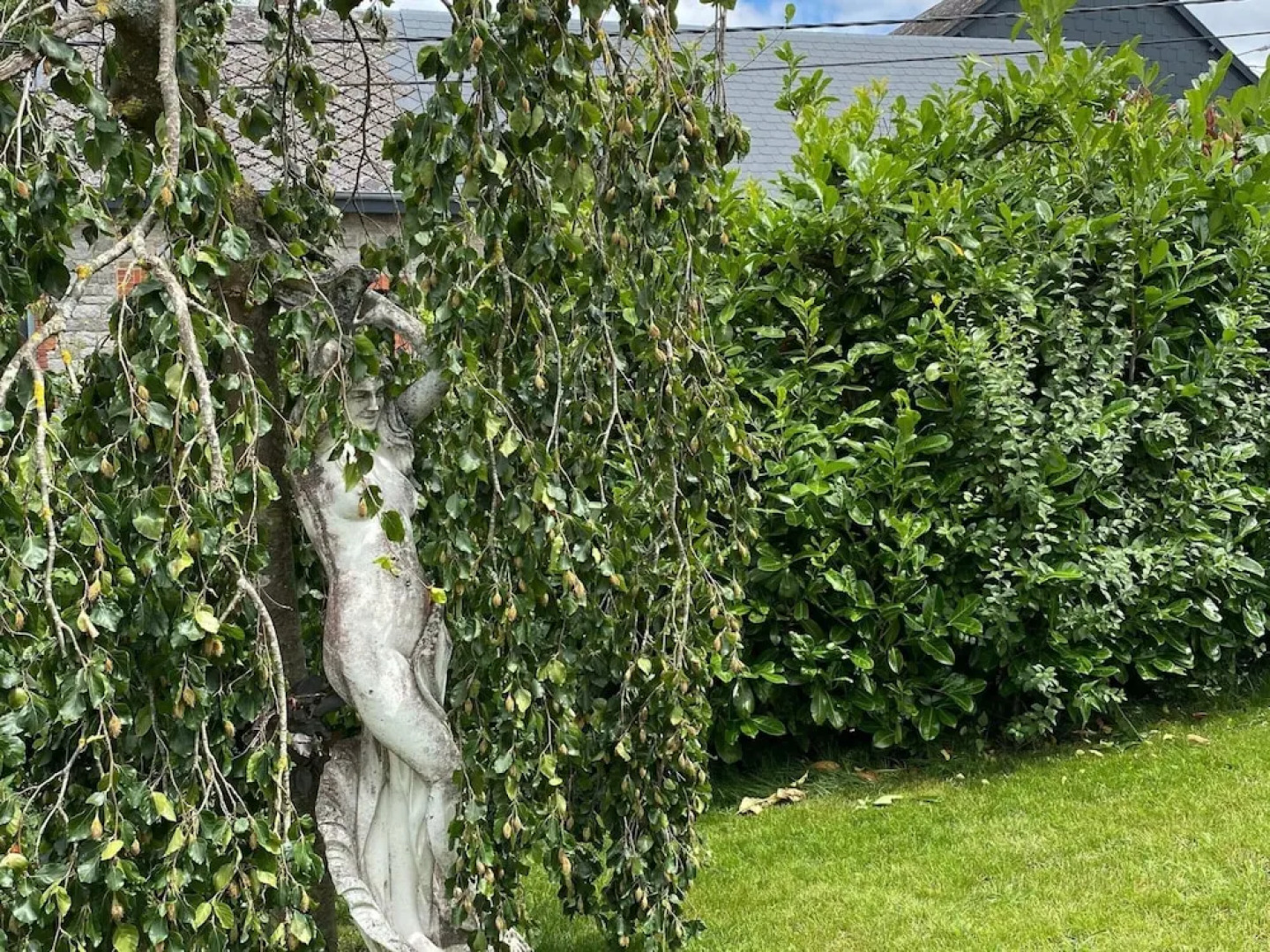 Elegant Hillside Mansion