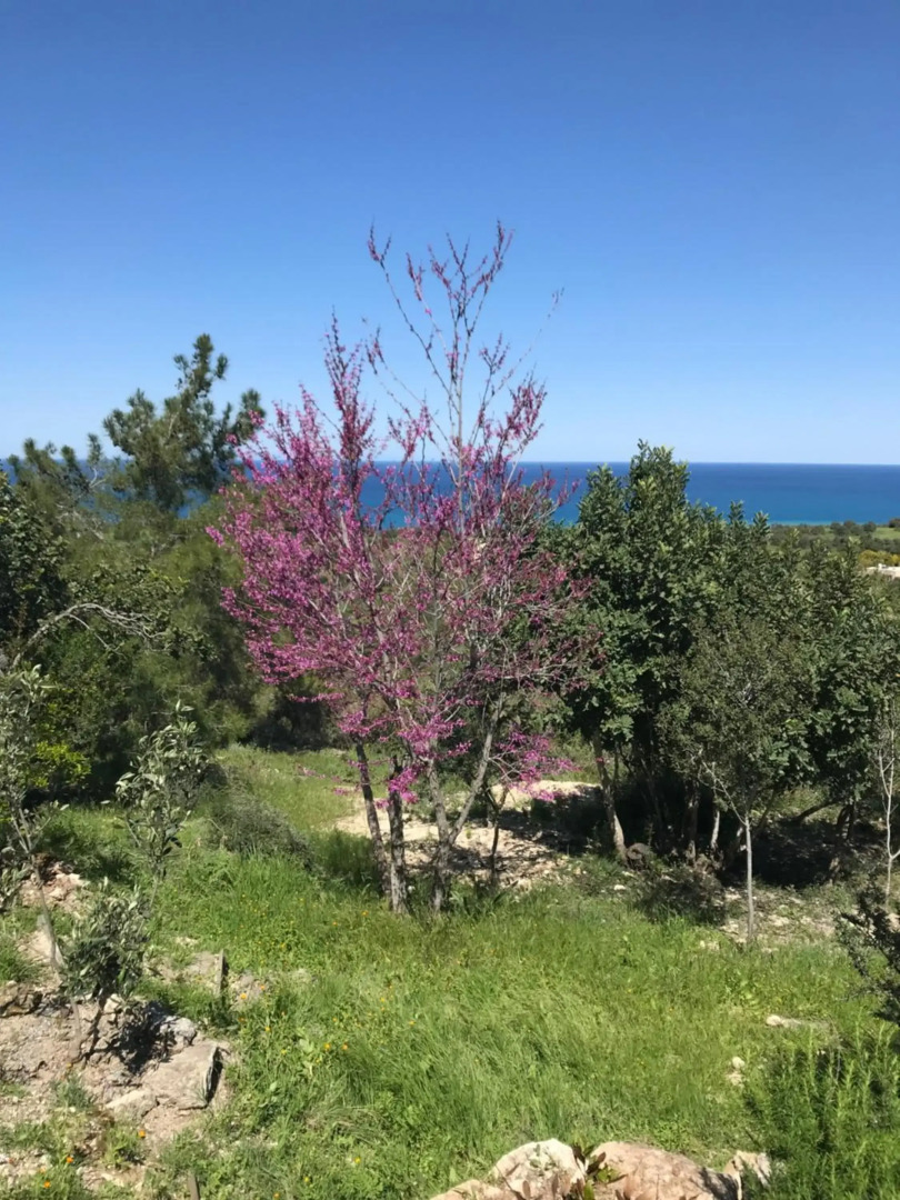 Philip's holiday house