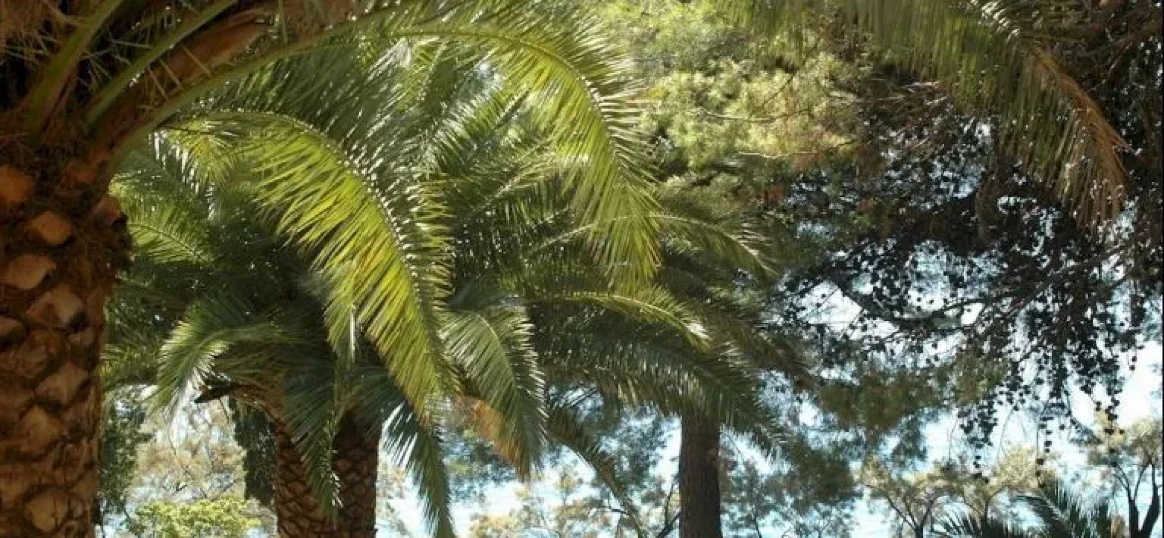 Hotel Bastina Sveti Križ