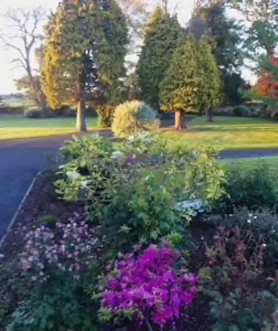 Cherry Tree Cottage Hillsborough - Moira