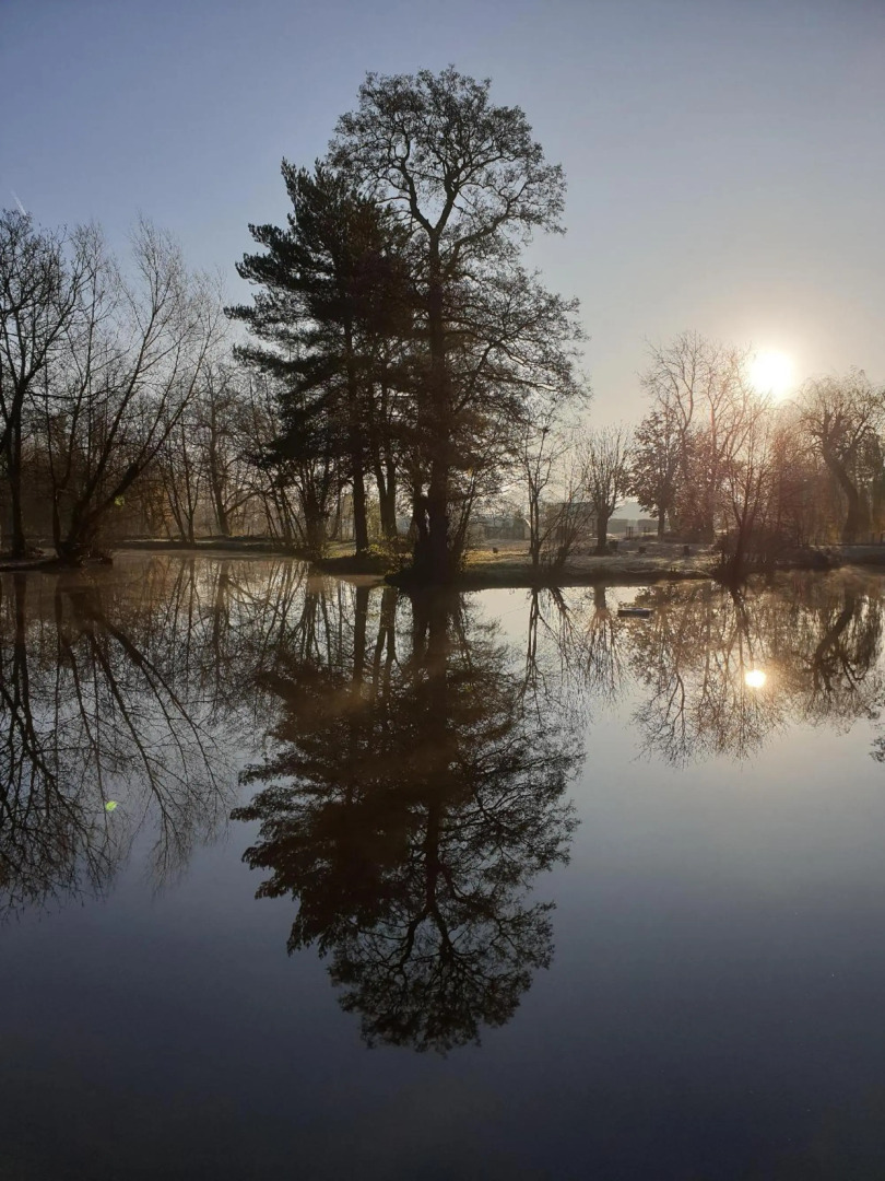Langdale Lodge Bed & Breakfast