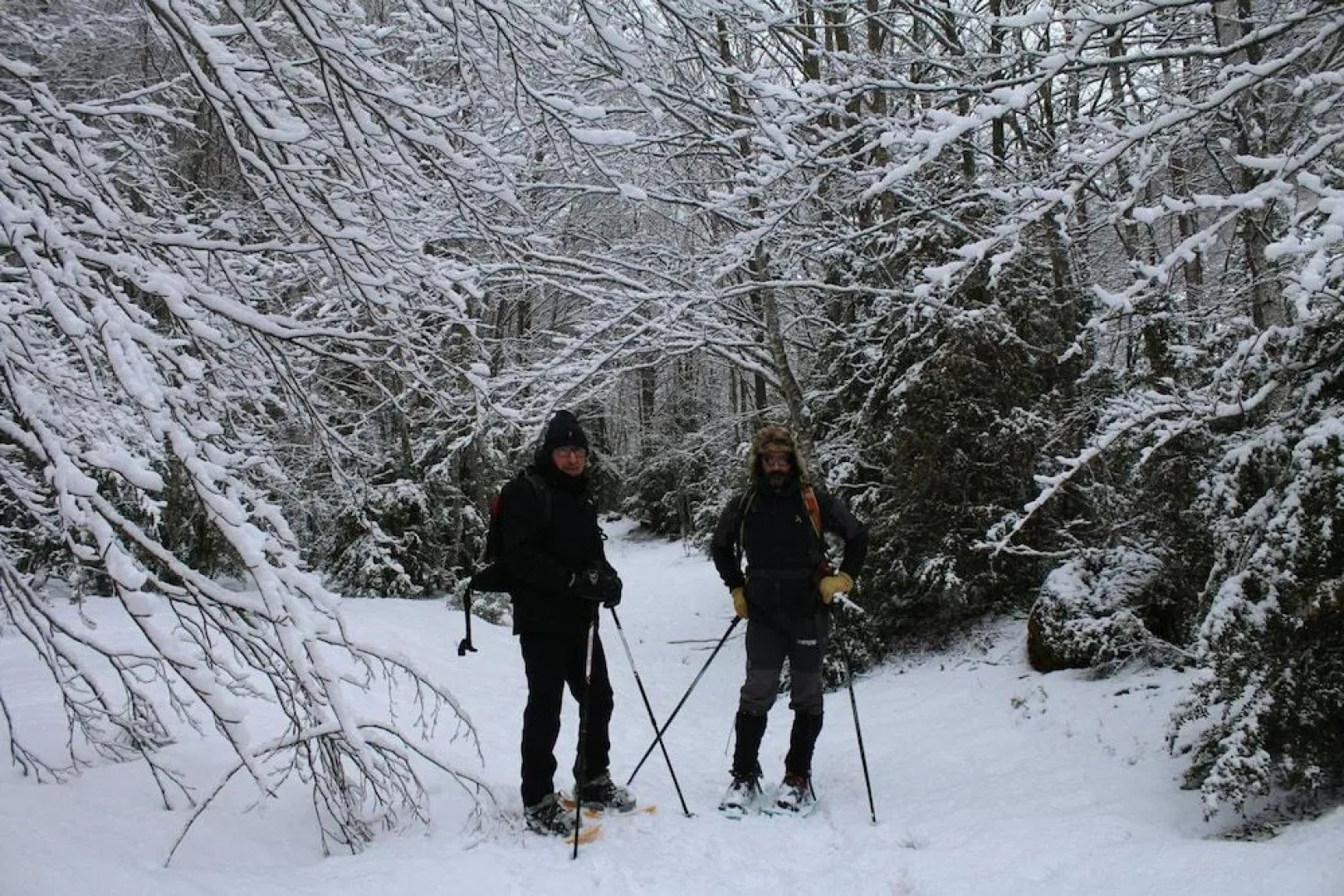 O Chardinet d'a Formiga