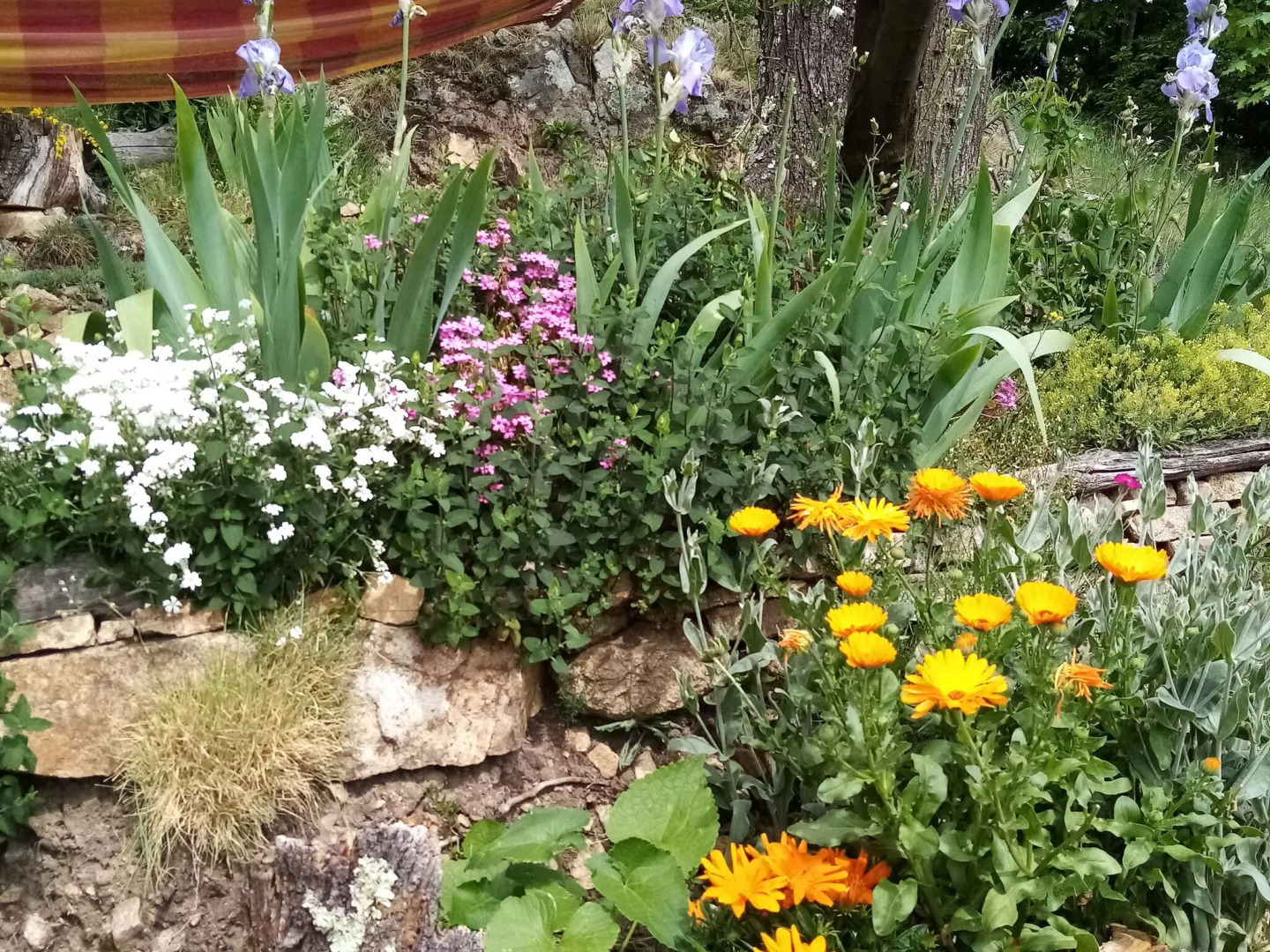 Stunning, Detached Holiday Home on a Hill With Phenomenal Views