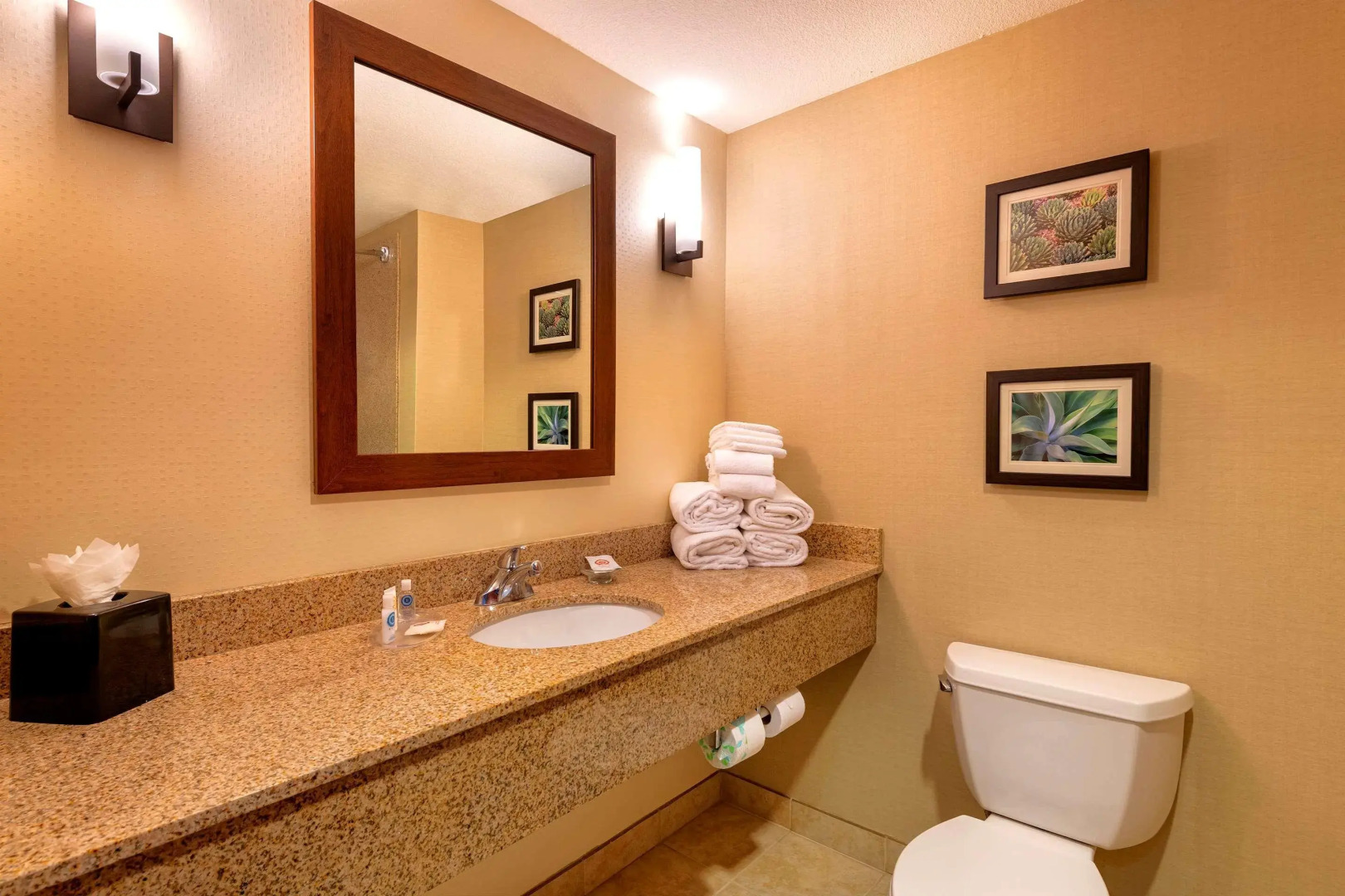 Comfort Suites Goodyear - West Phoenix