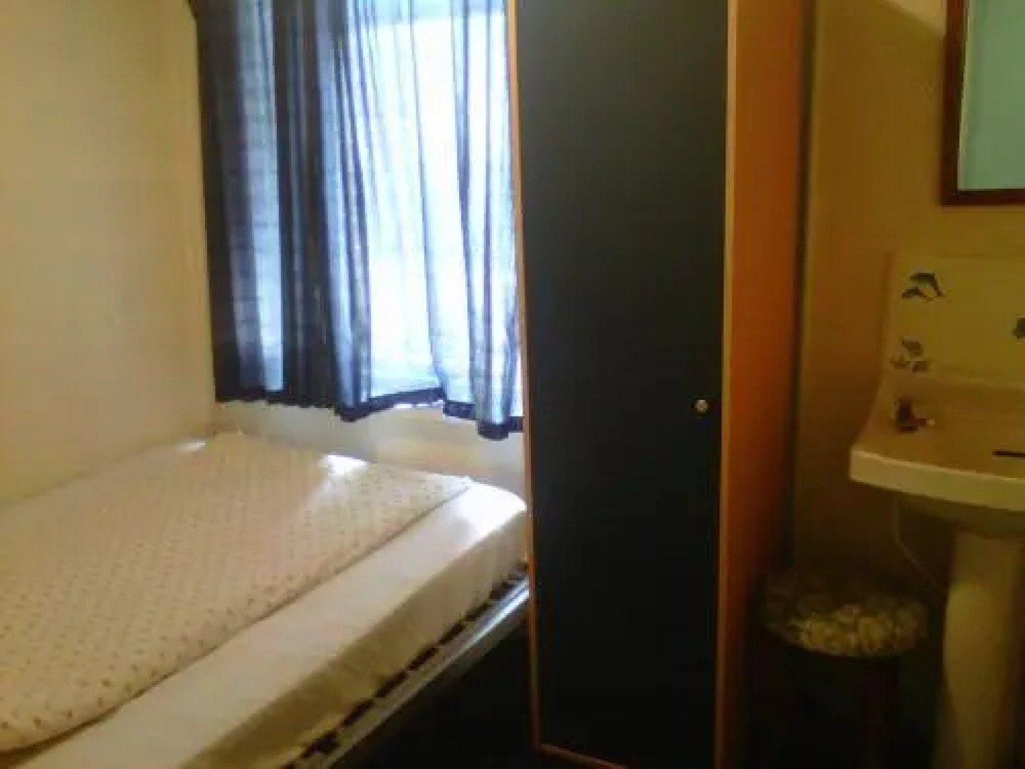 The Satter International