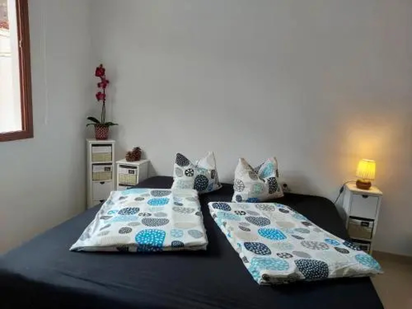 Apartamento Playa Alojera 1ª Linea