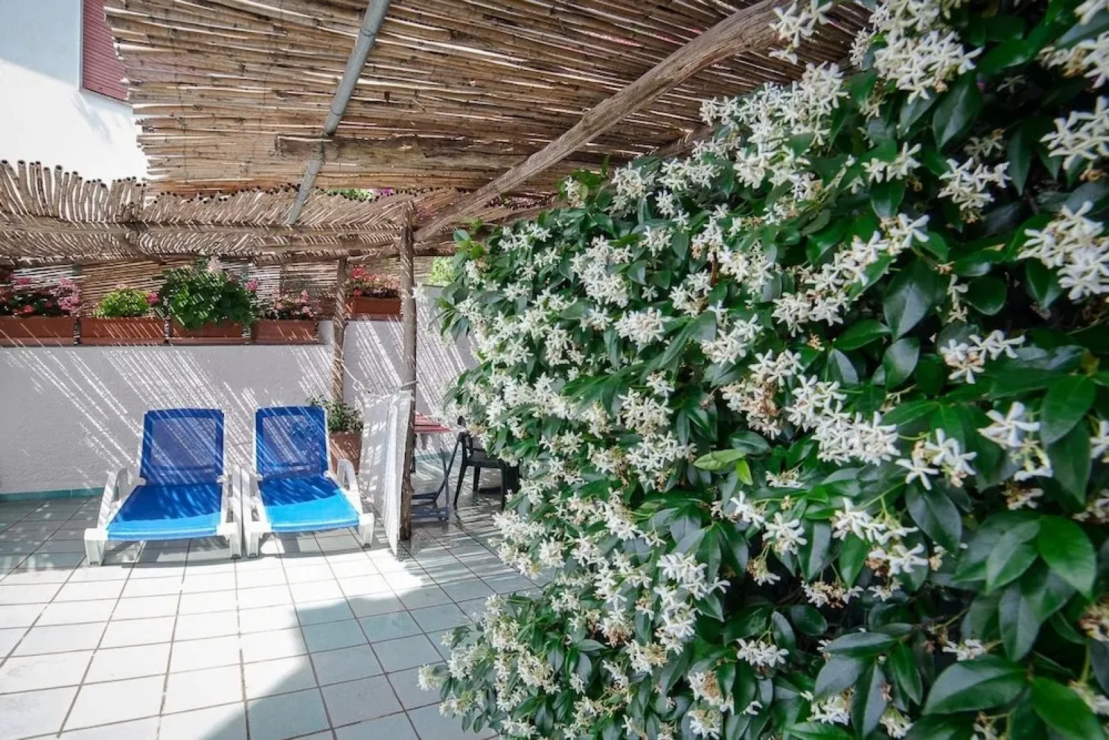 Hotel Bellevue Suite