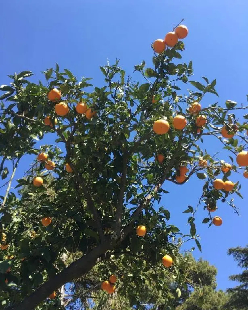 B&B Casa Maria Vittoria