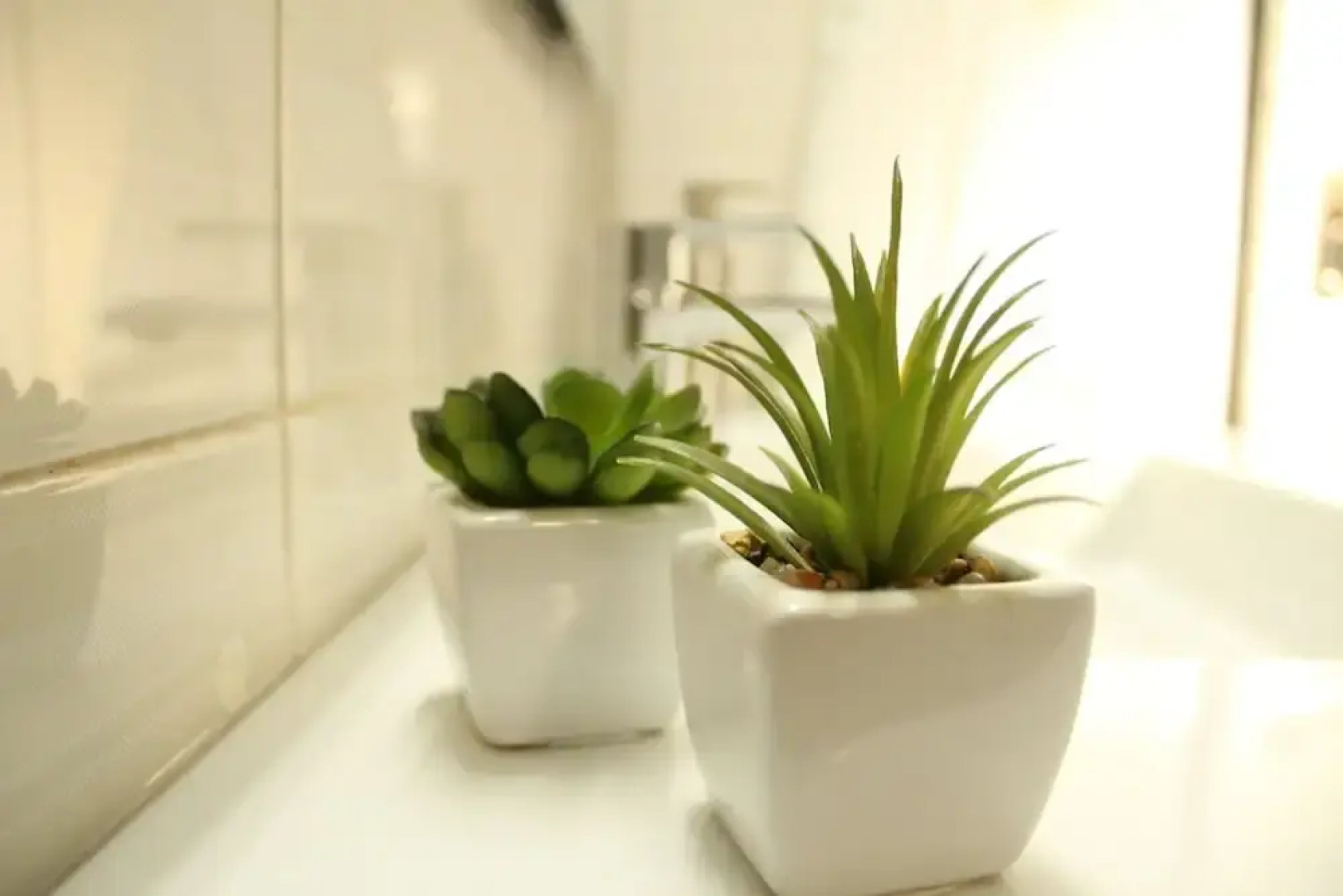 The House of Travelers