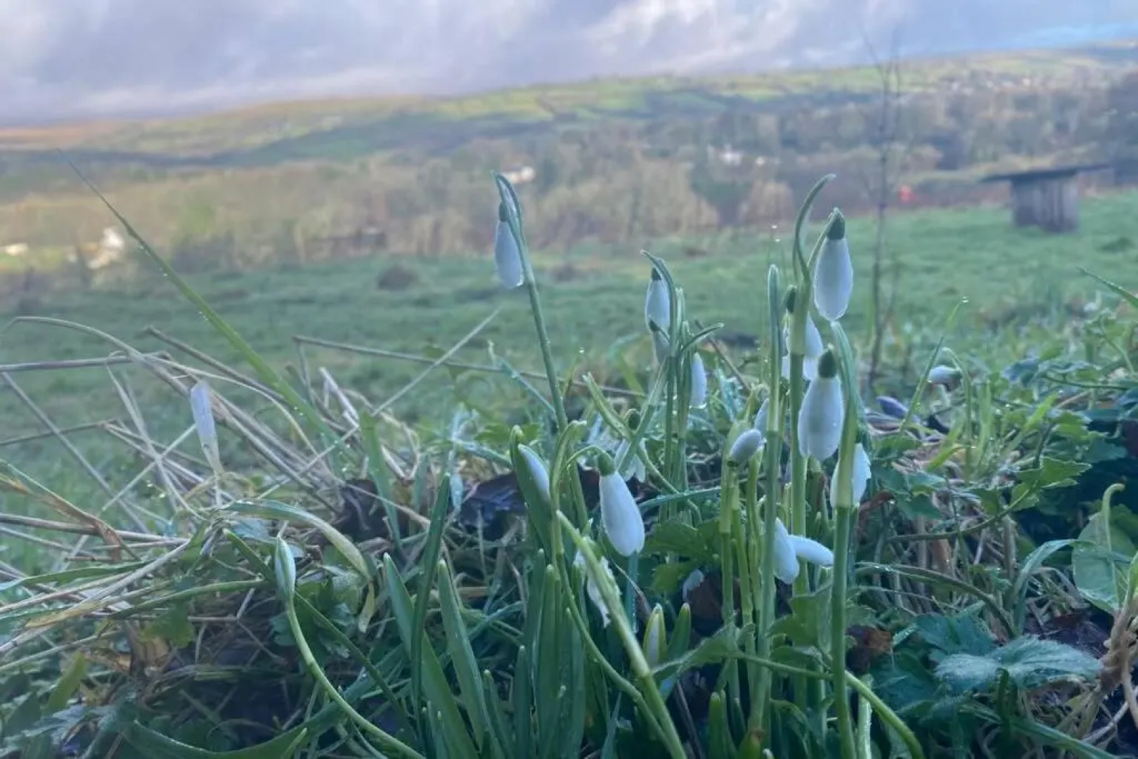 Stags View,Unique eco cabin, Dartmoor views