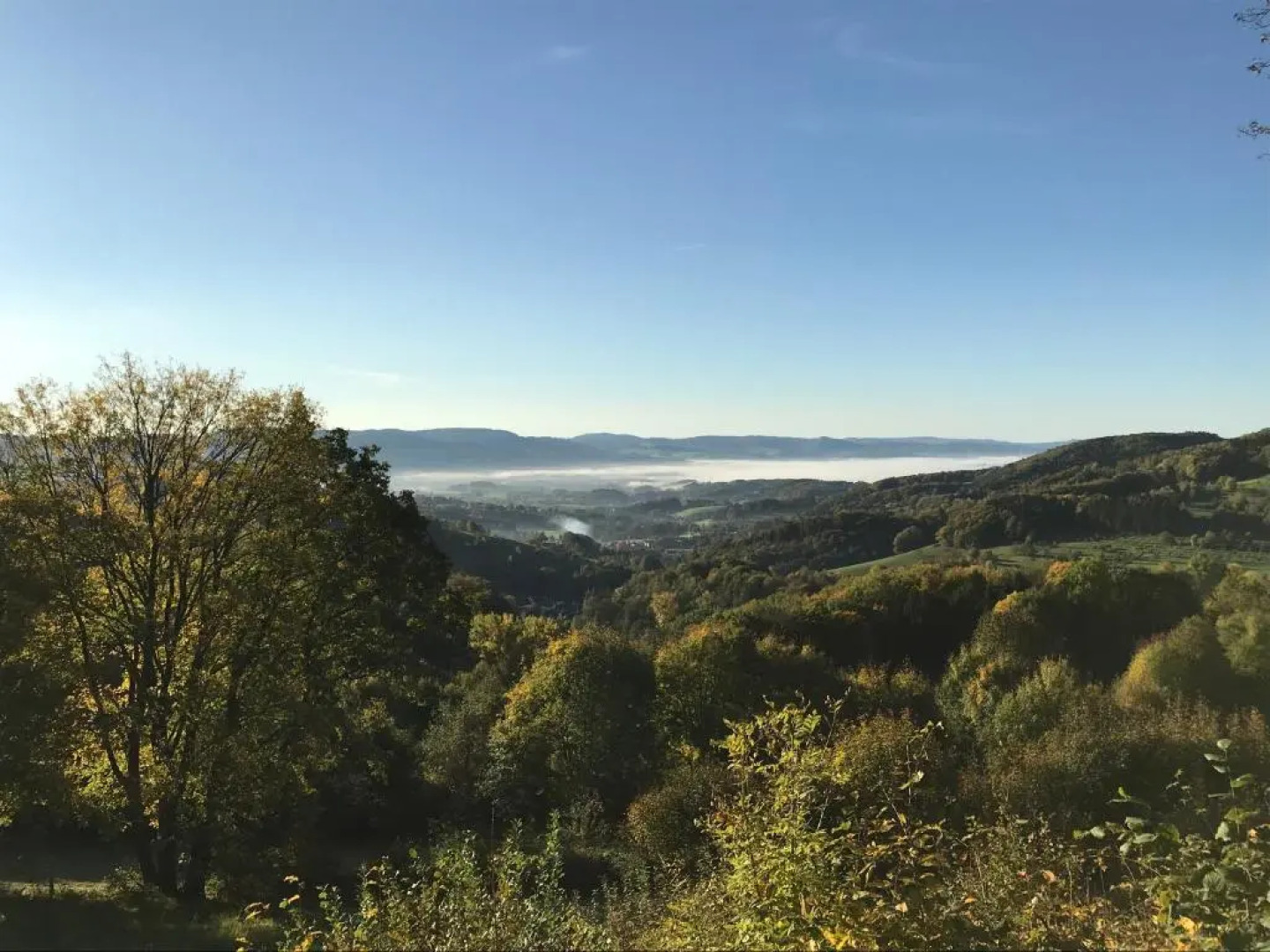 Ferienwohnung Gisela