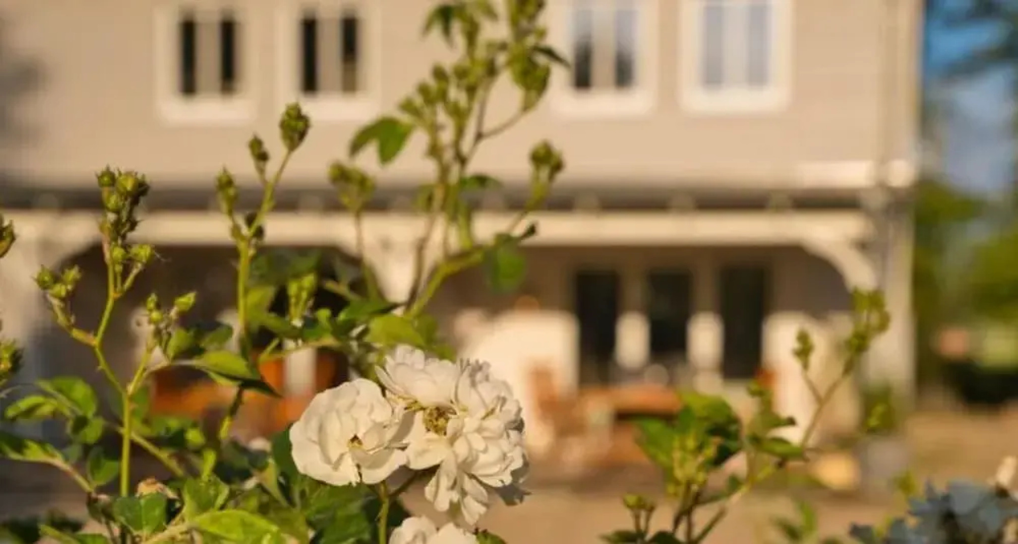 Northern Lights Modern Retreat