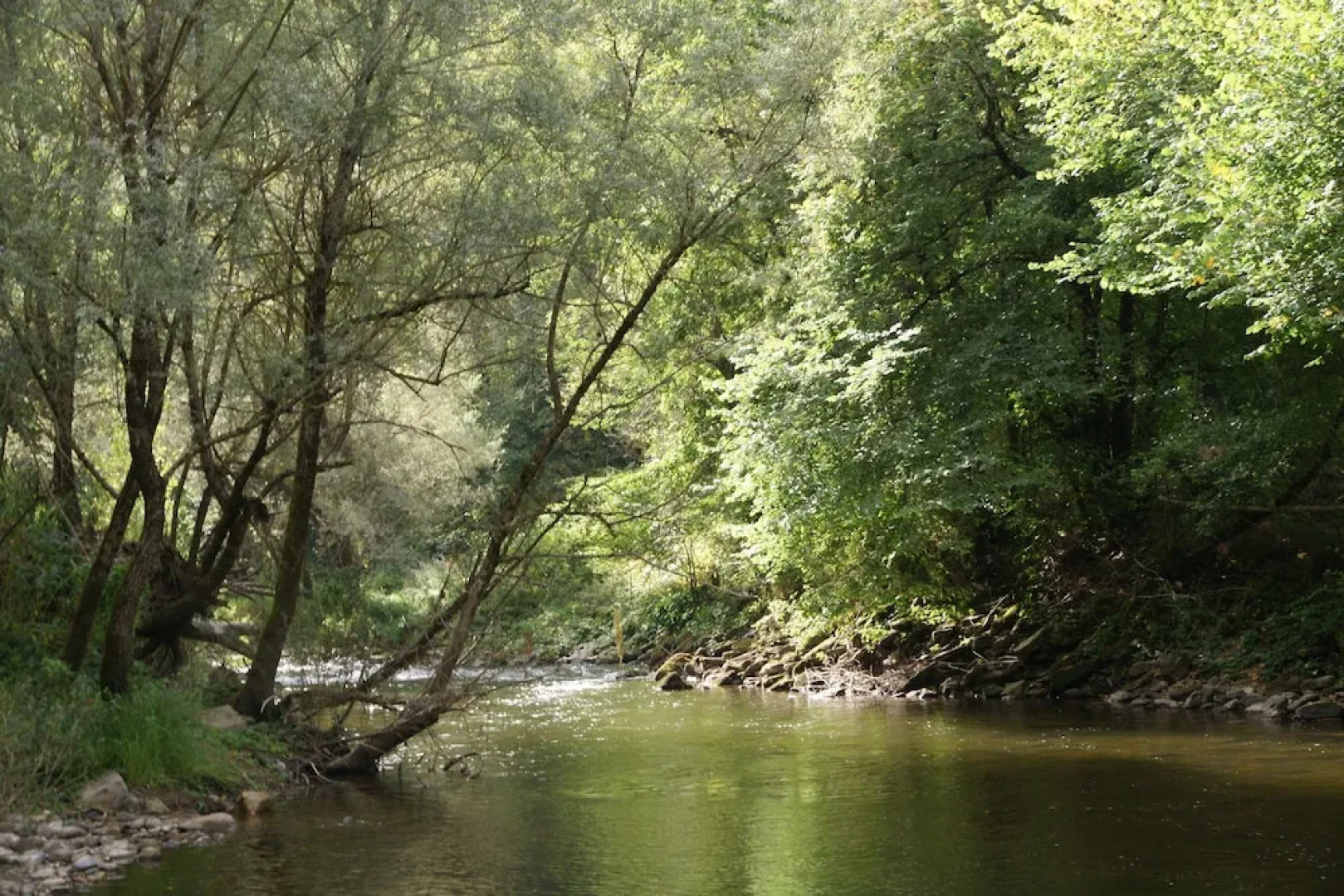 Le Cascadou Maison d'hôtes