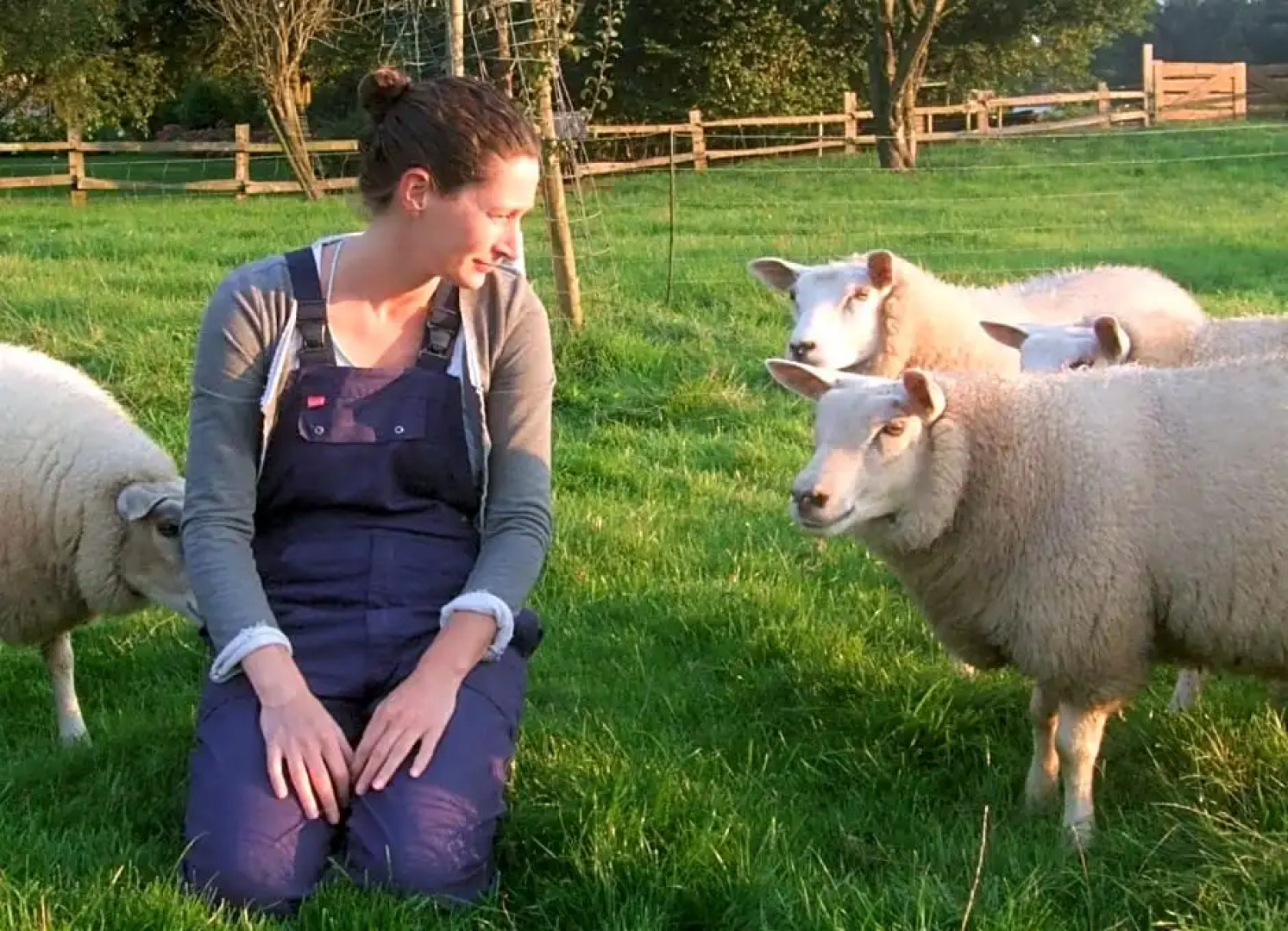 Het Geheim Van Merselo