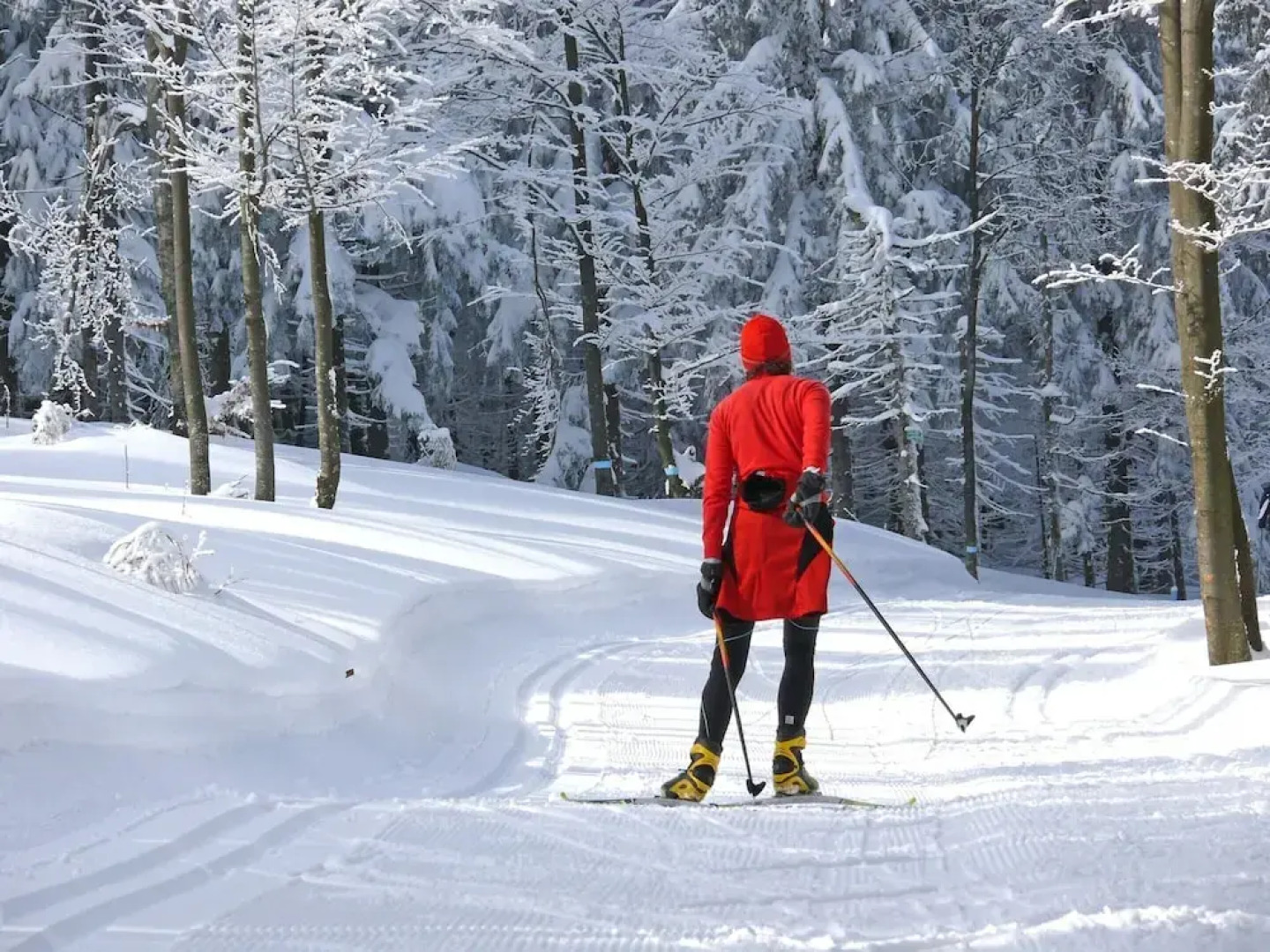 Familienurlaub im Bayerischen Wald