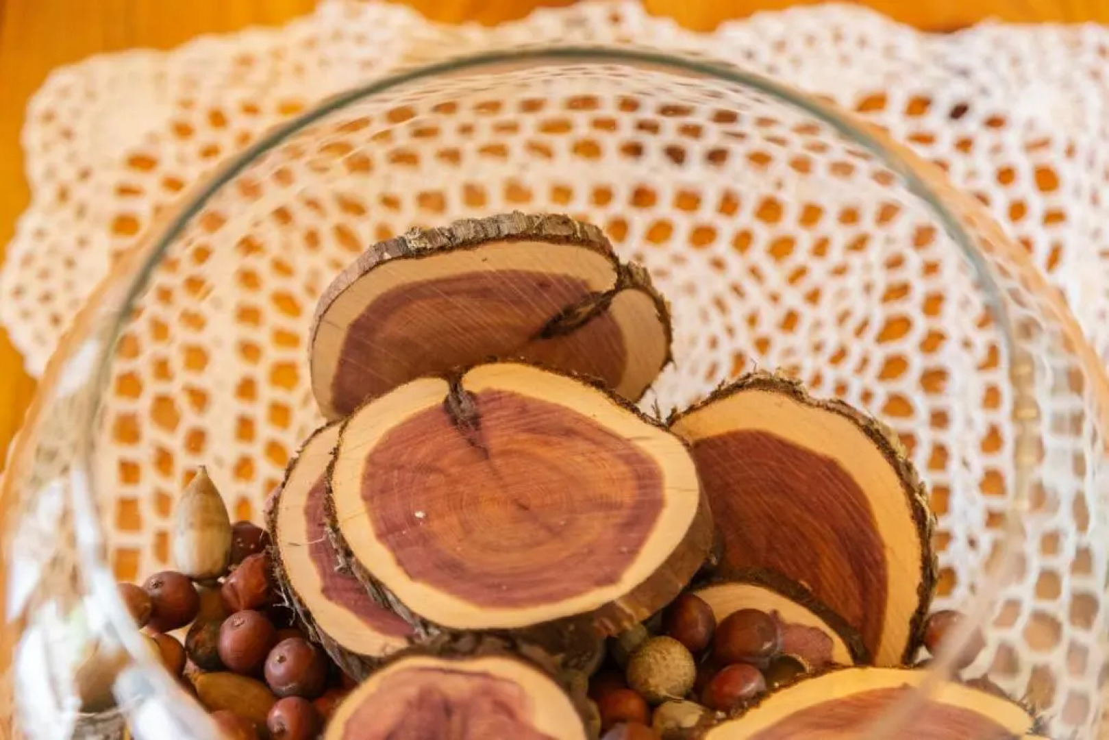 La Galiana loft nature