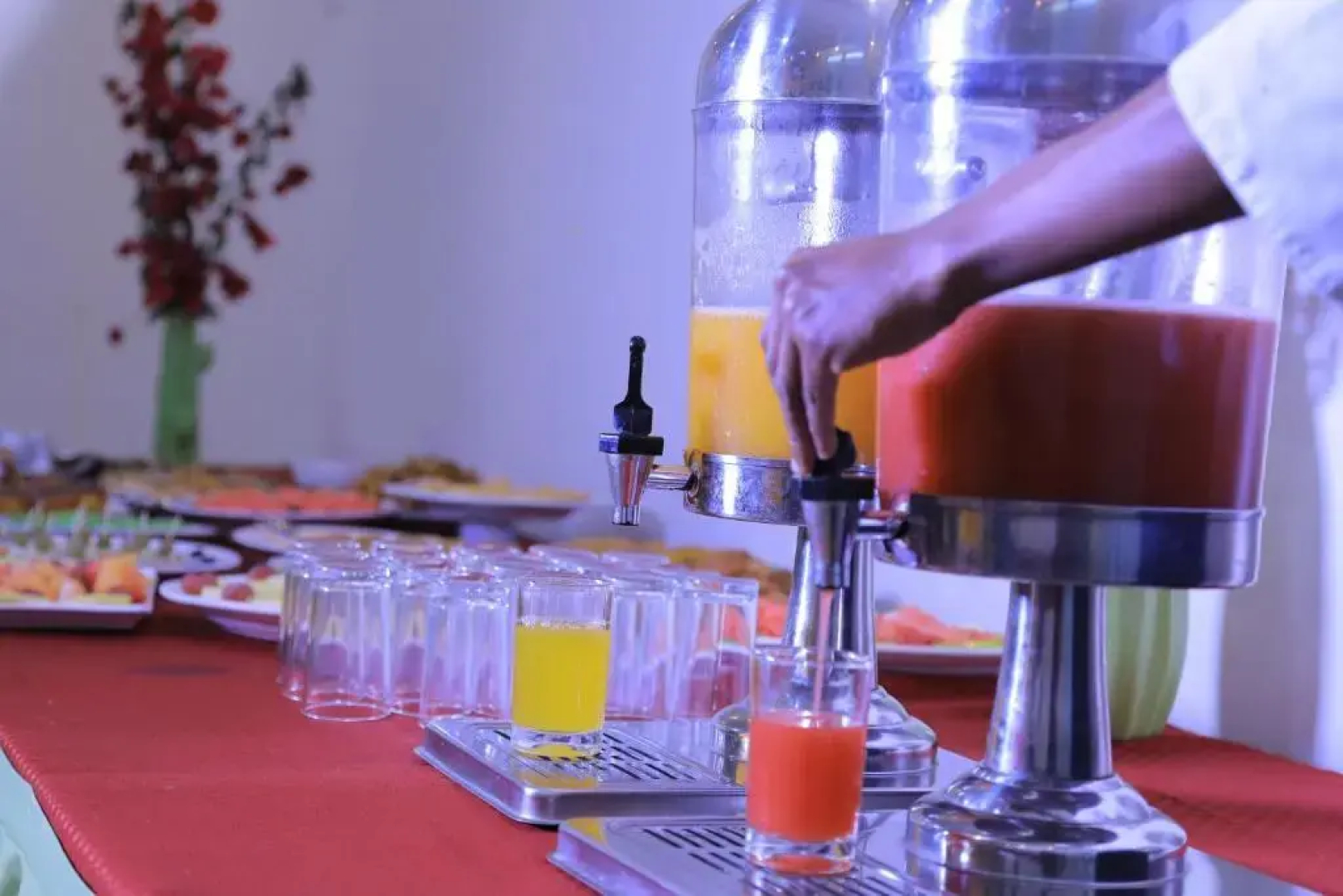 Haile Resort Jimma