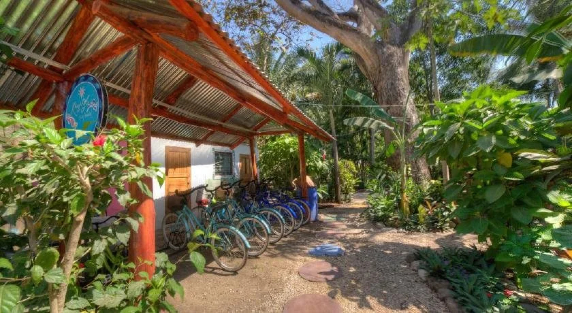 The Buena Vibra Collective