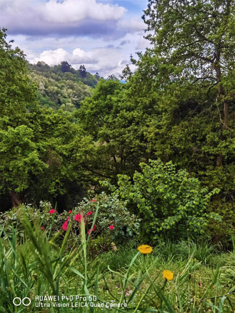 Piso amplio y luminoso, La Pomar