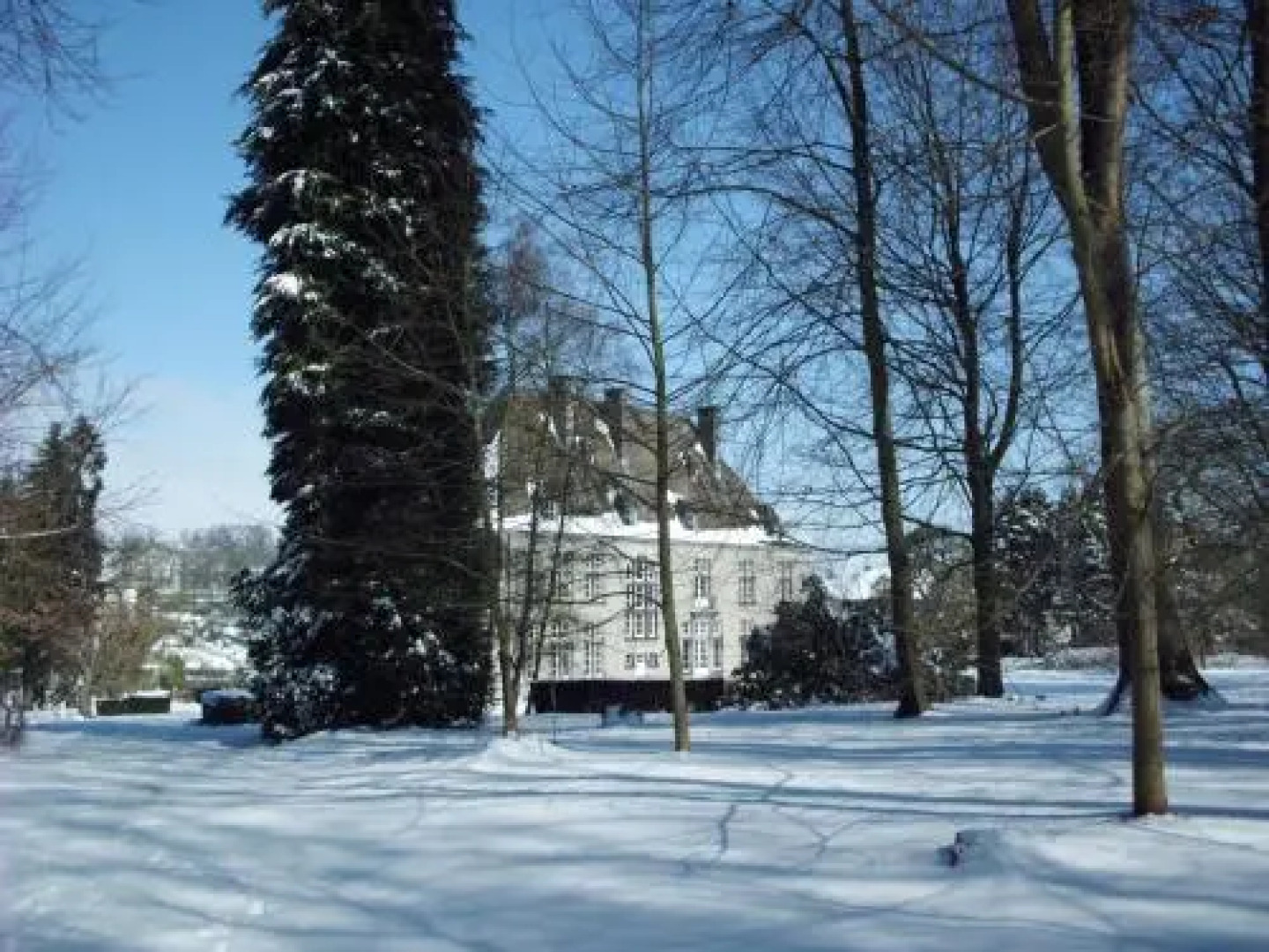 Château de la Motte