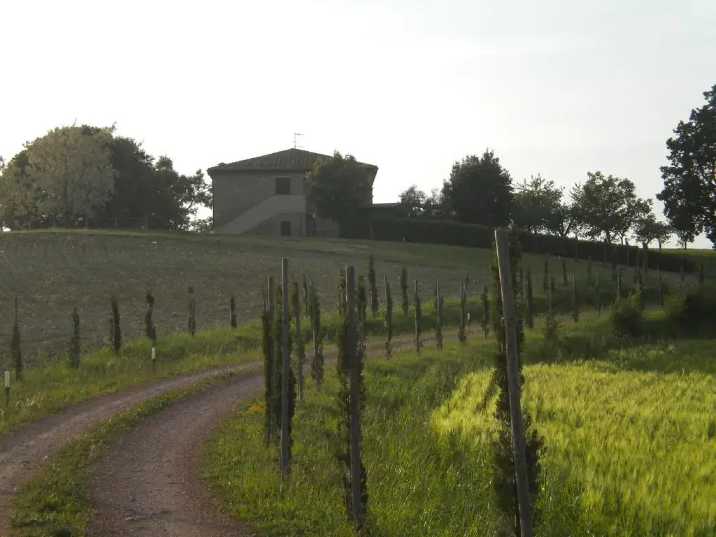 Tenuta La Casetta