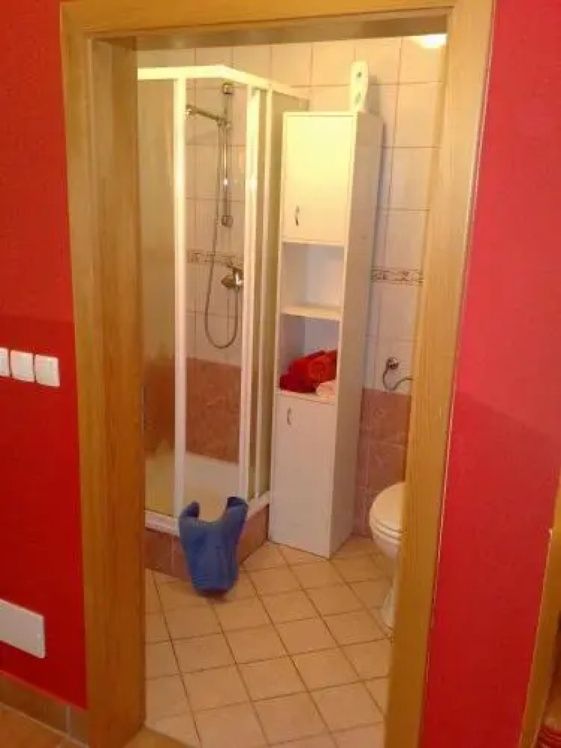 Apartment Beli Zajec