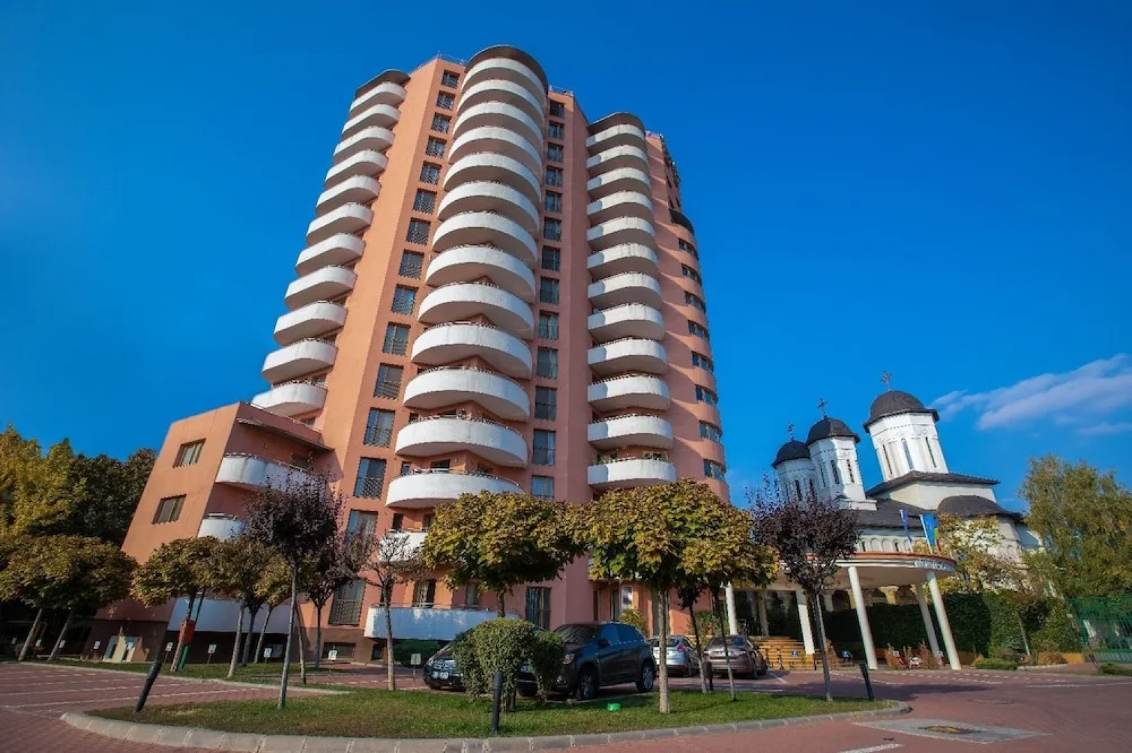 Wild Orchids of Bucharest