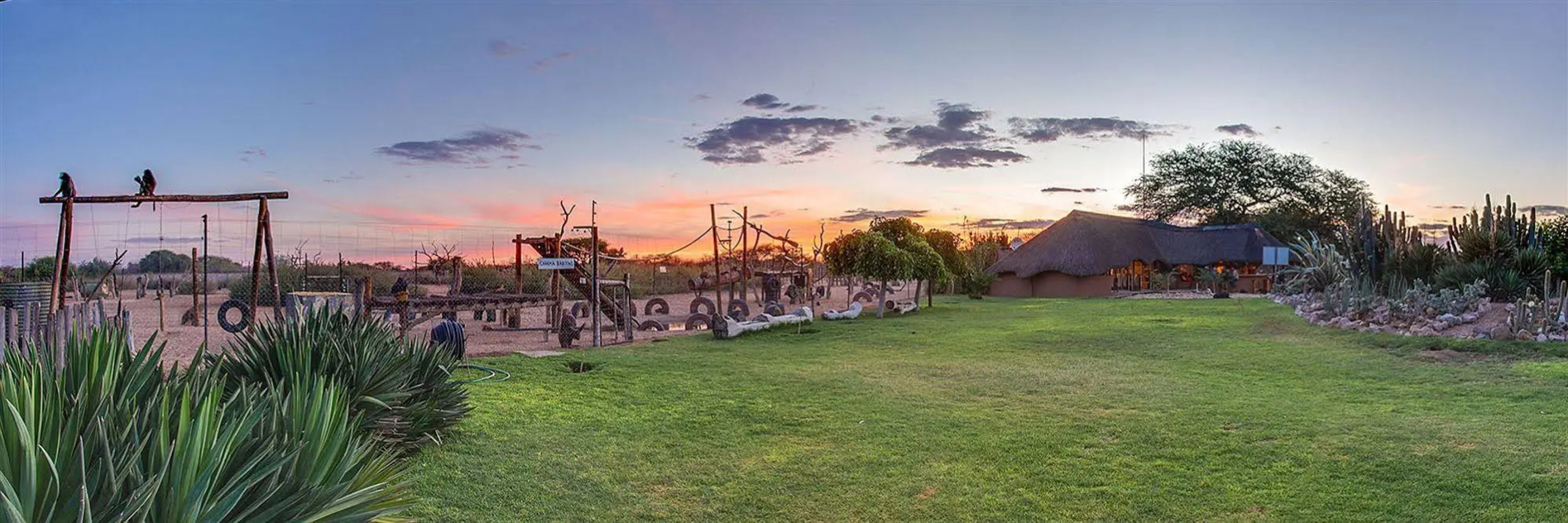 Harnas Wildlife Foundation