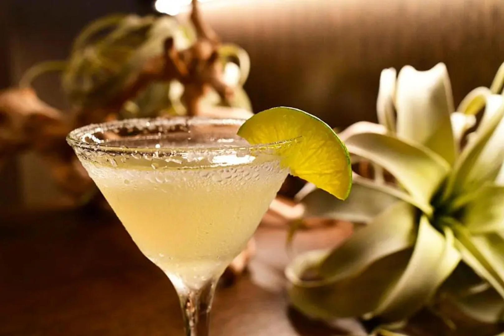 SpringHill Suites by Marriott Cape Canaveral Cocoa Beach