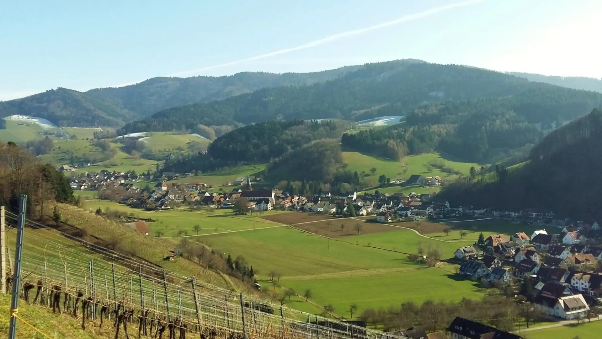 Hotel Schwarzenbergs Traube