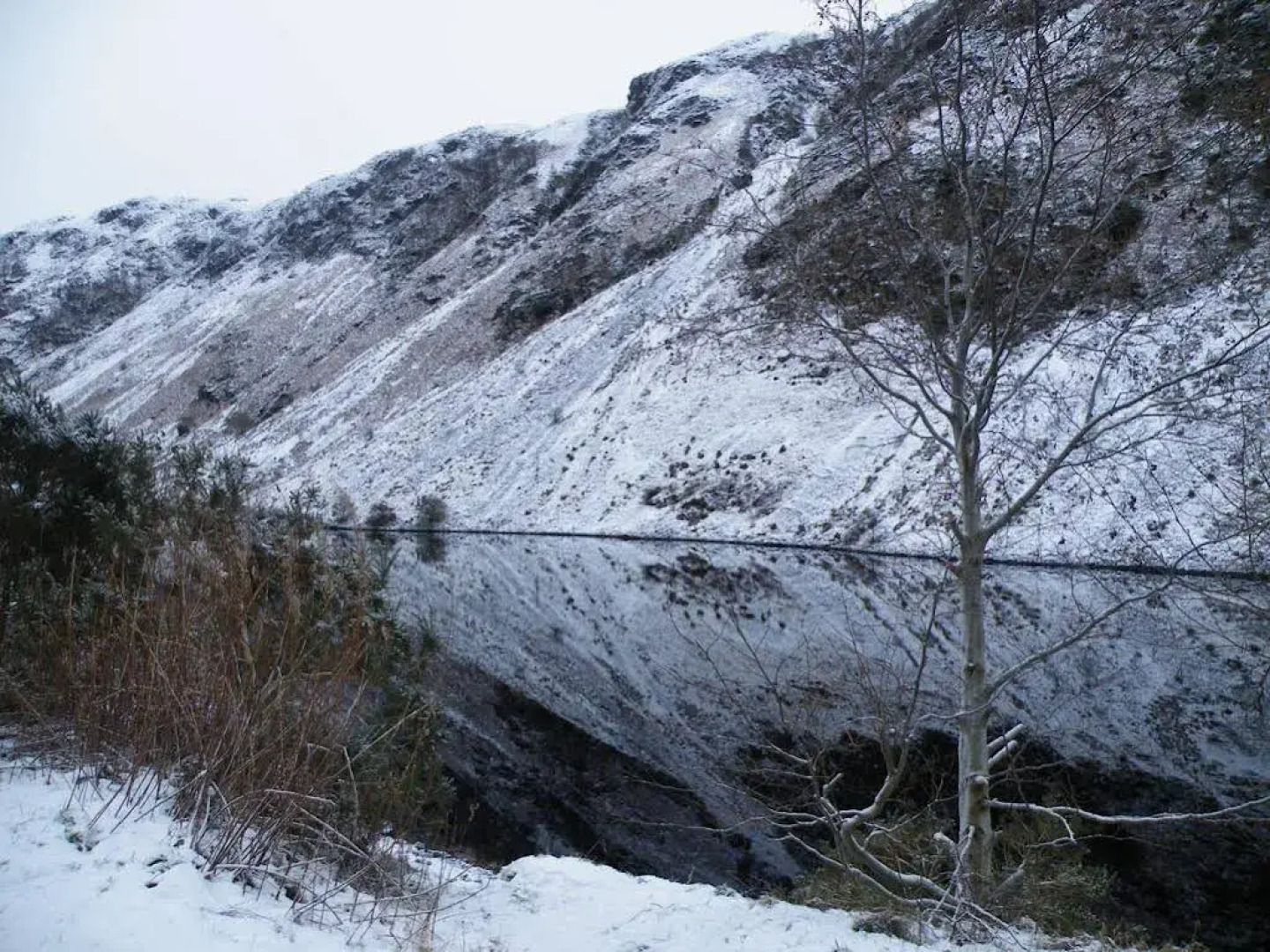 Thornloe Guest House