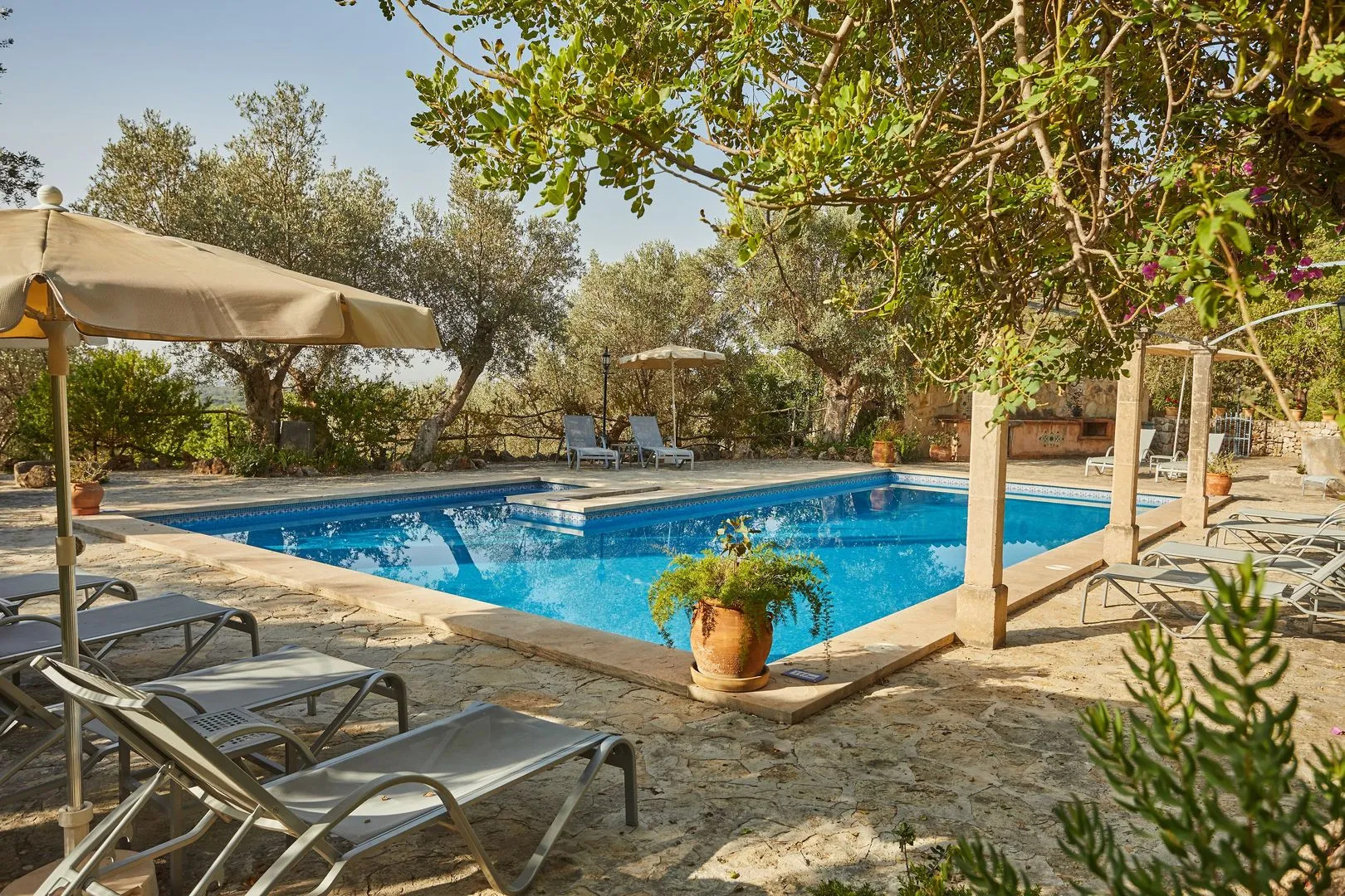 Agritourismo Alquería Blanca