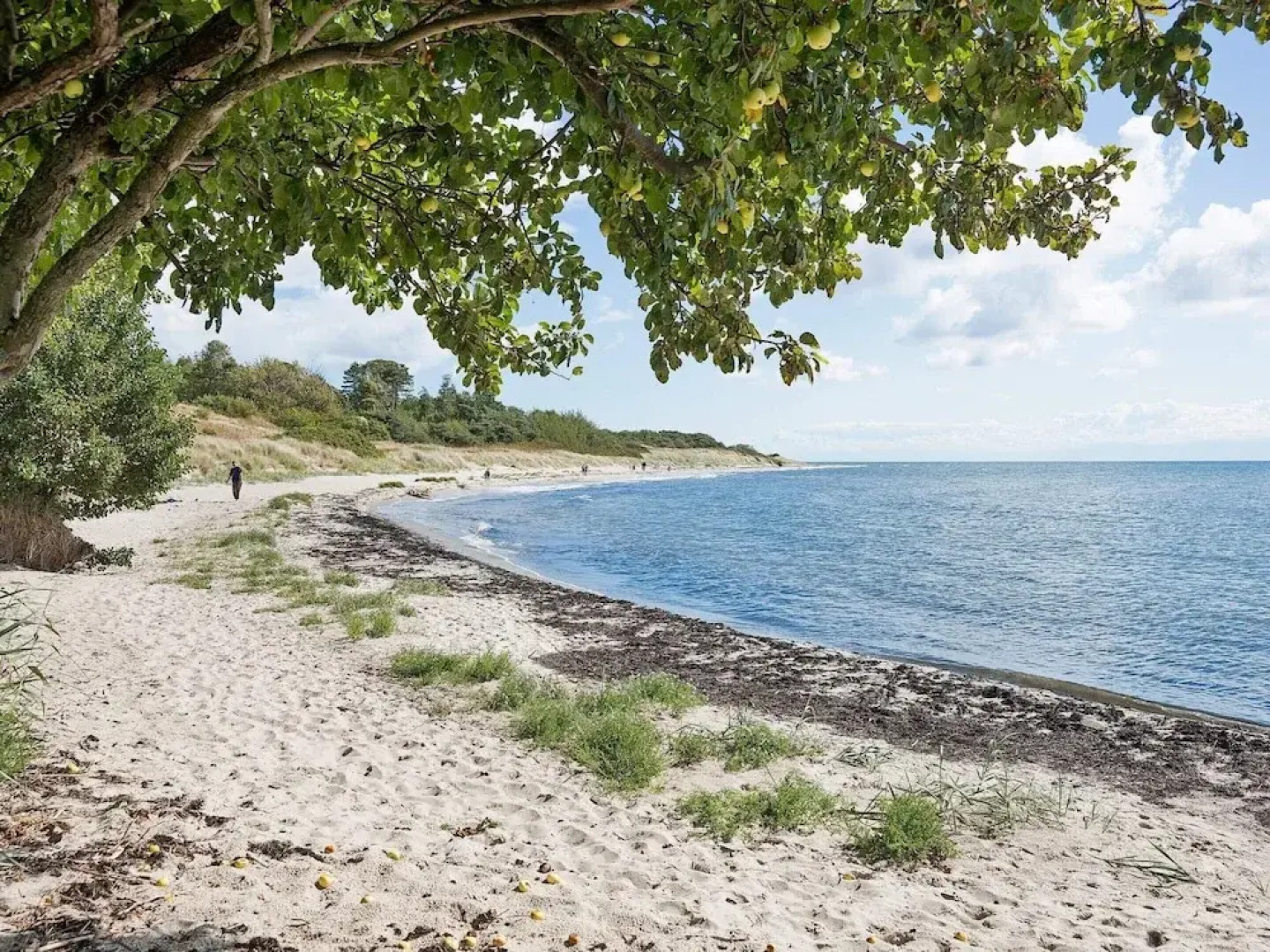 Holiday Home With Sauna by Beach