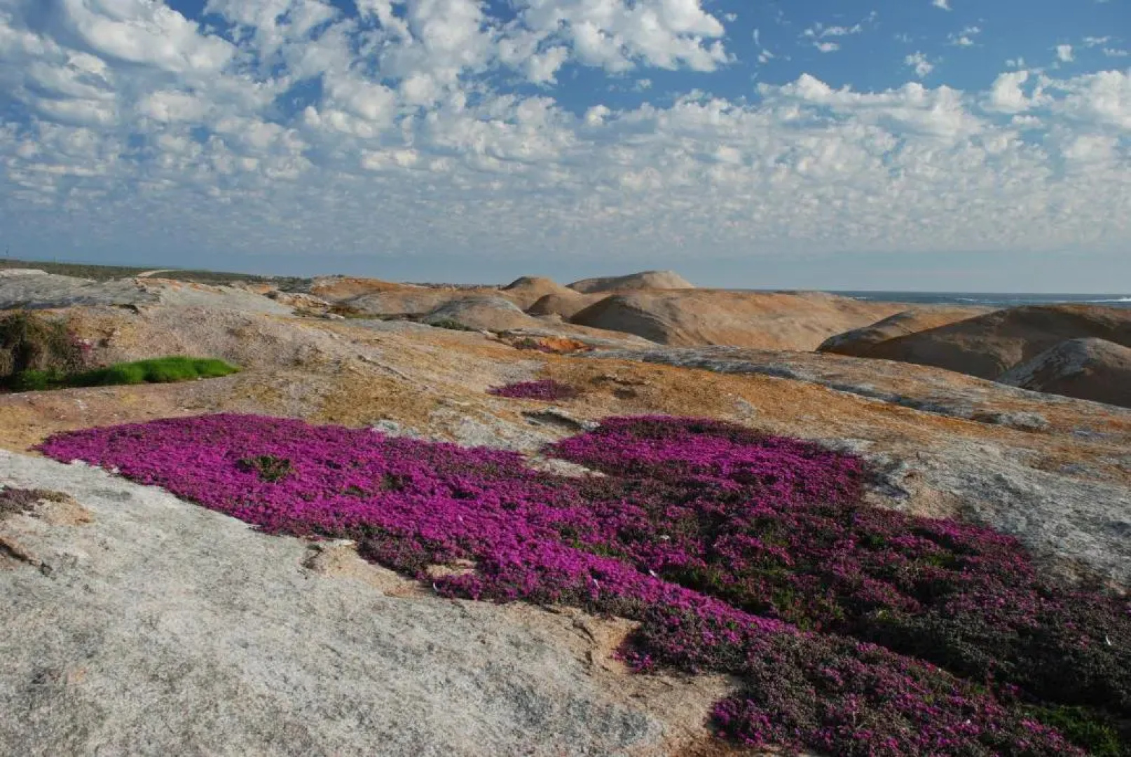 The Oystercatchers Haven at Paternoster