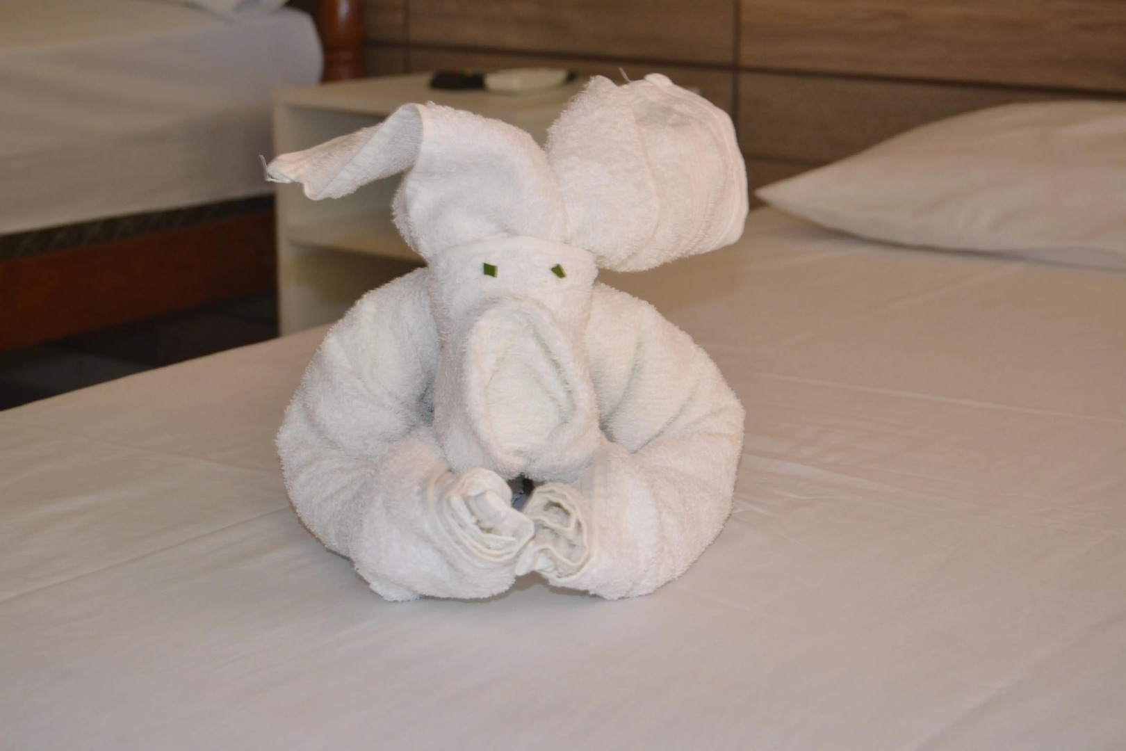 Pousada Porto Tropical