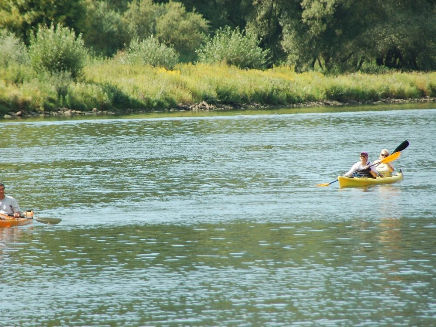 Ferienwohnungen Gästehaus Gerhild