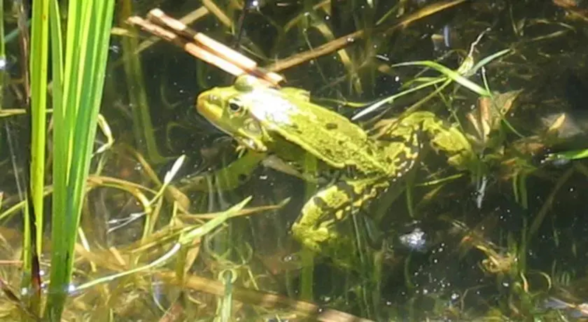 Auberge de la Peche a la Truite