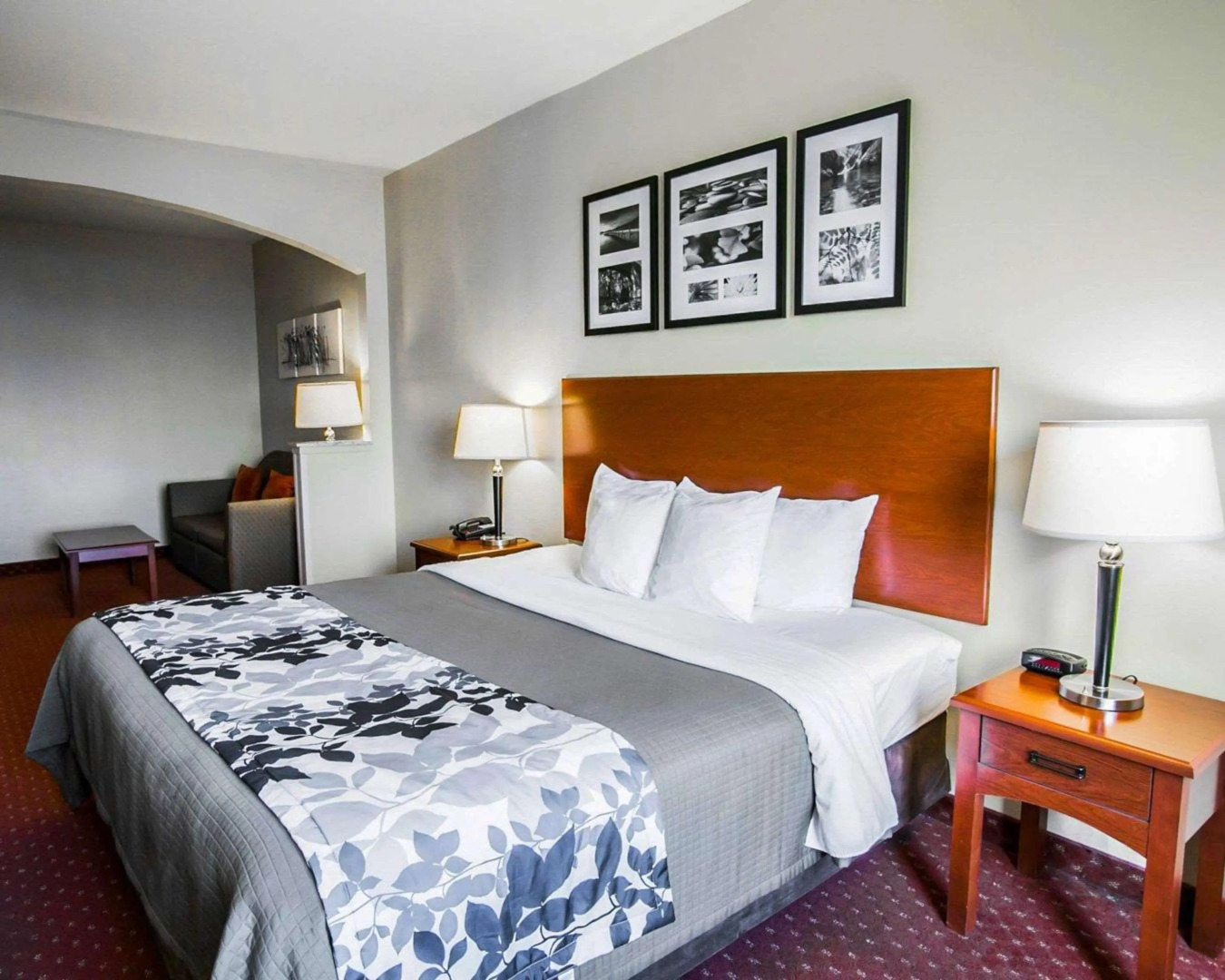 Sleep Inn & Suites New Braunfels
