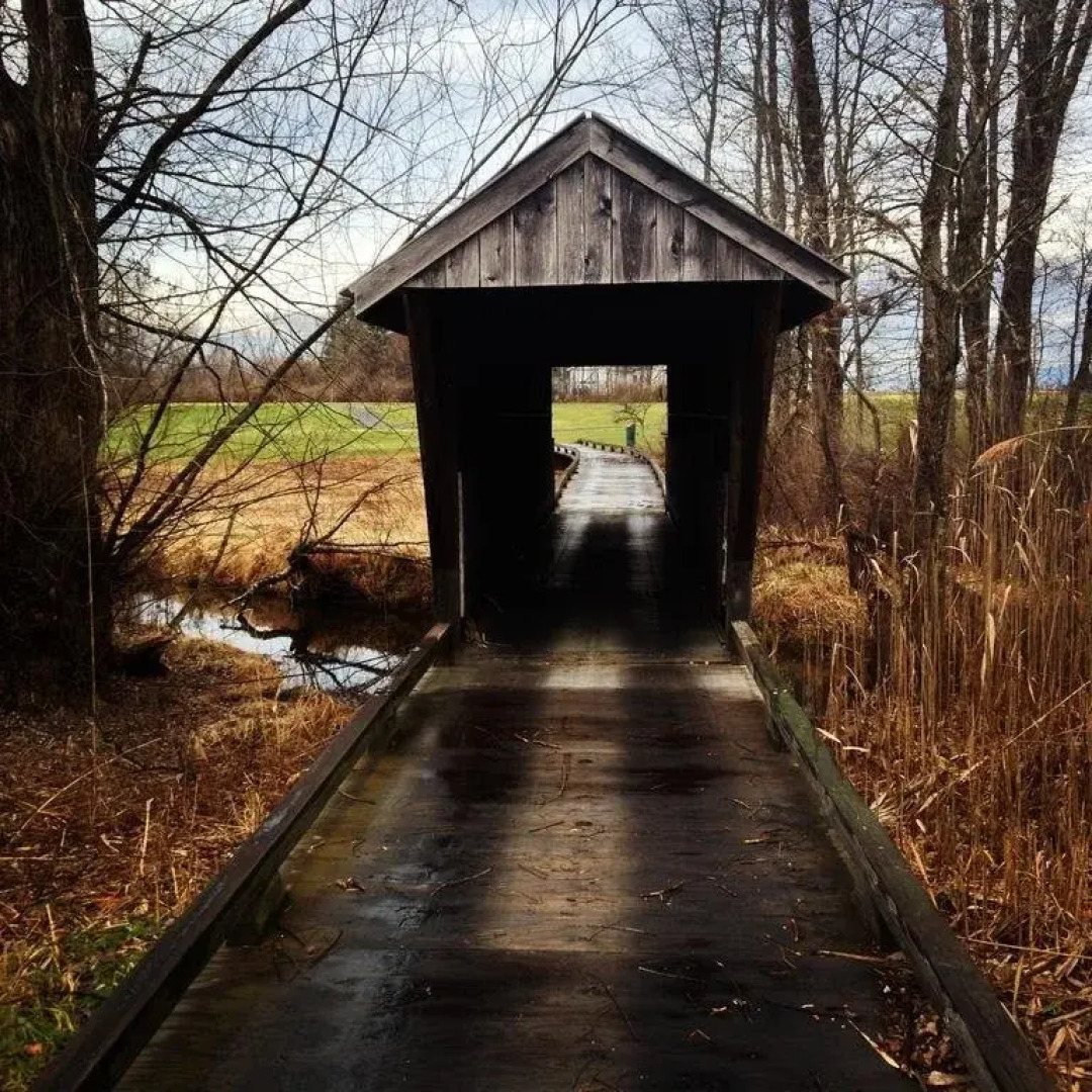 Sams Cottage on the Greens