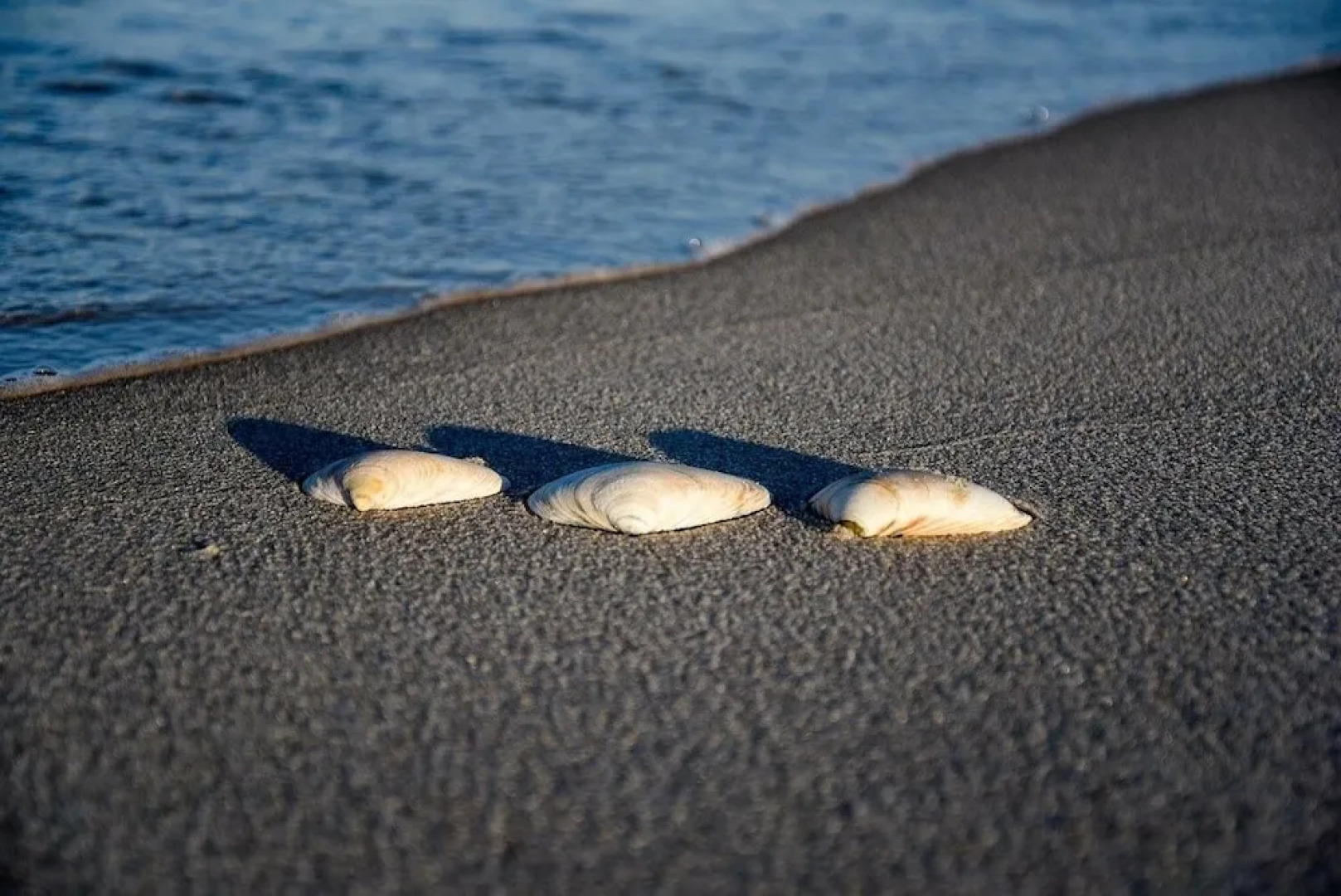 Beachy Lavallette Cottage w/ Outdoor Shower, Patio