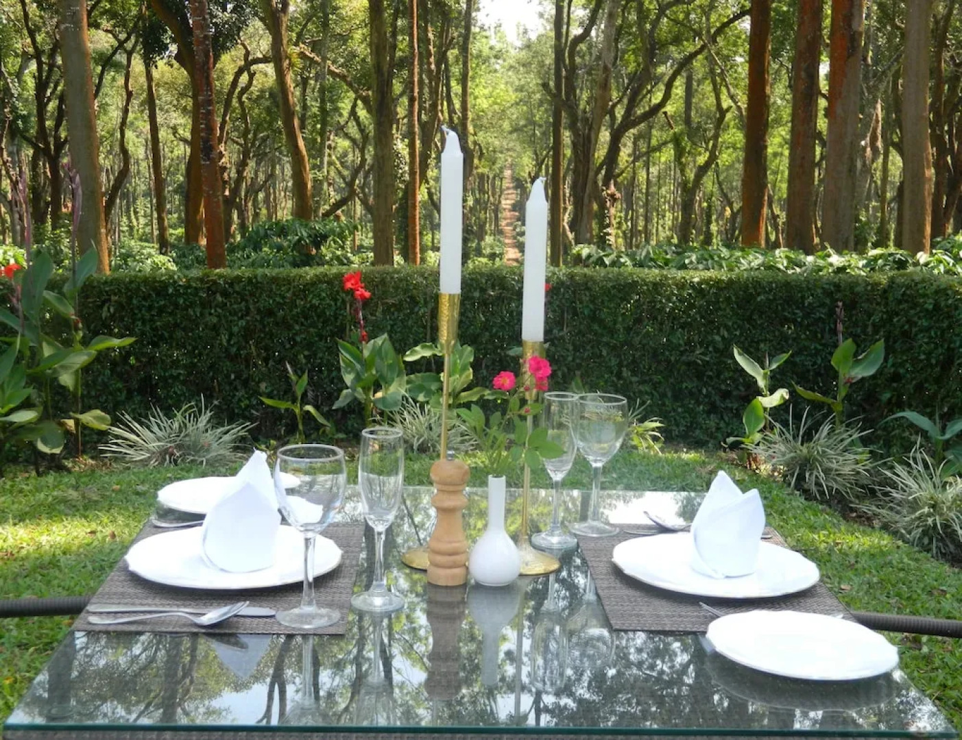 Ama Plantation Trails , Coorg