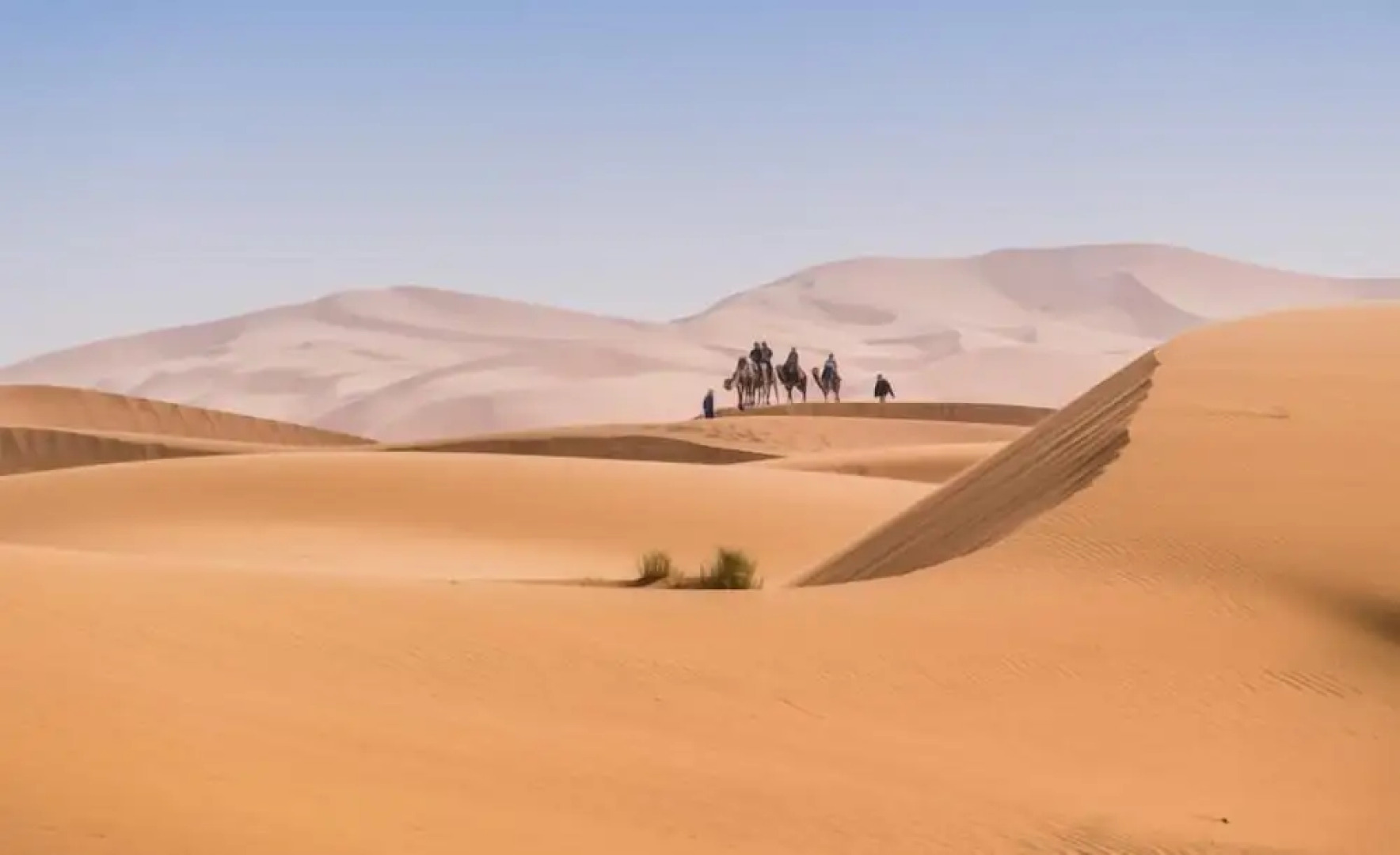 Little Trail Creek Cabins